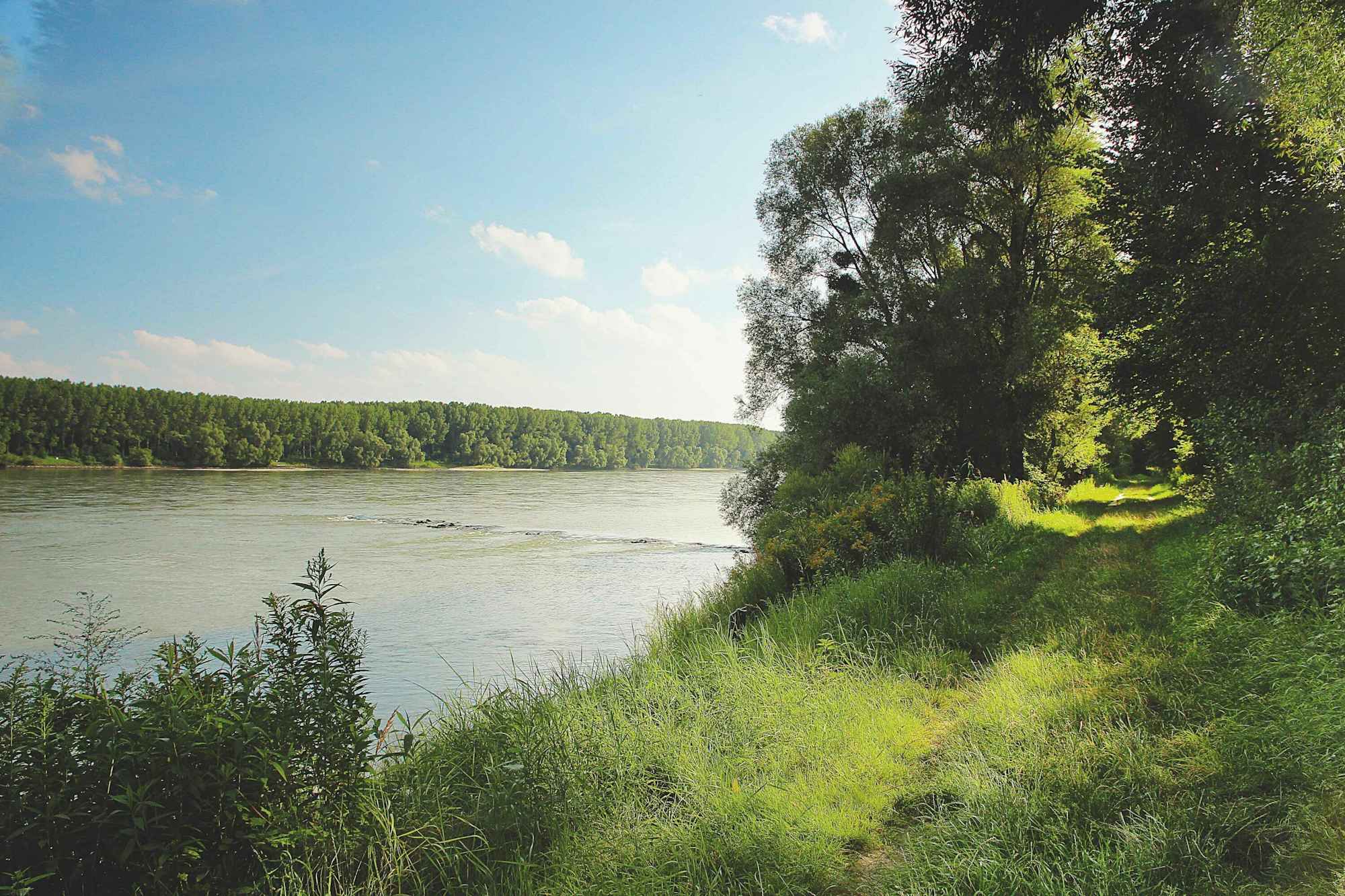 Treppelweg in der Stopfenreuther Au