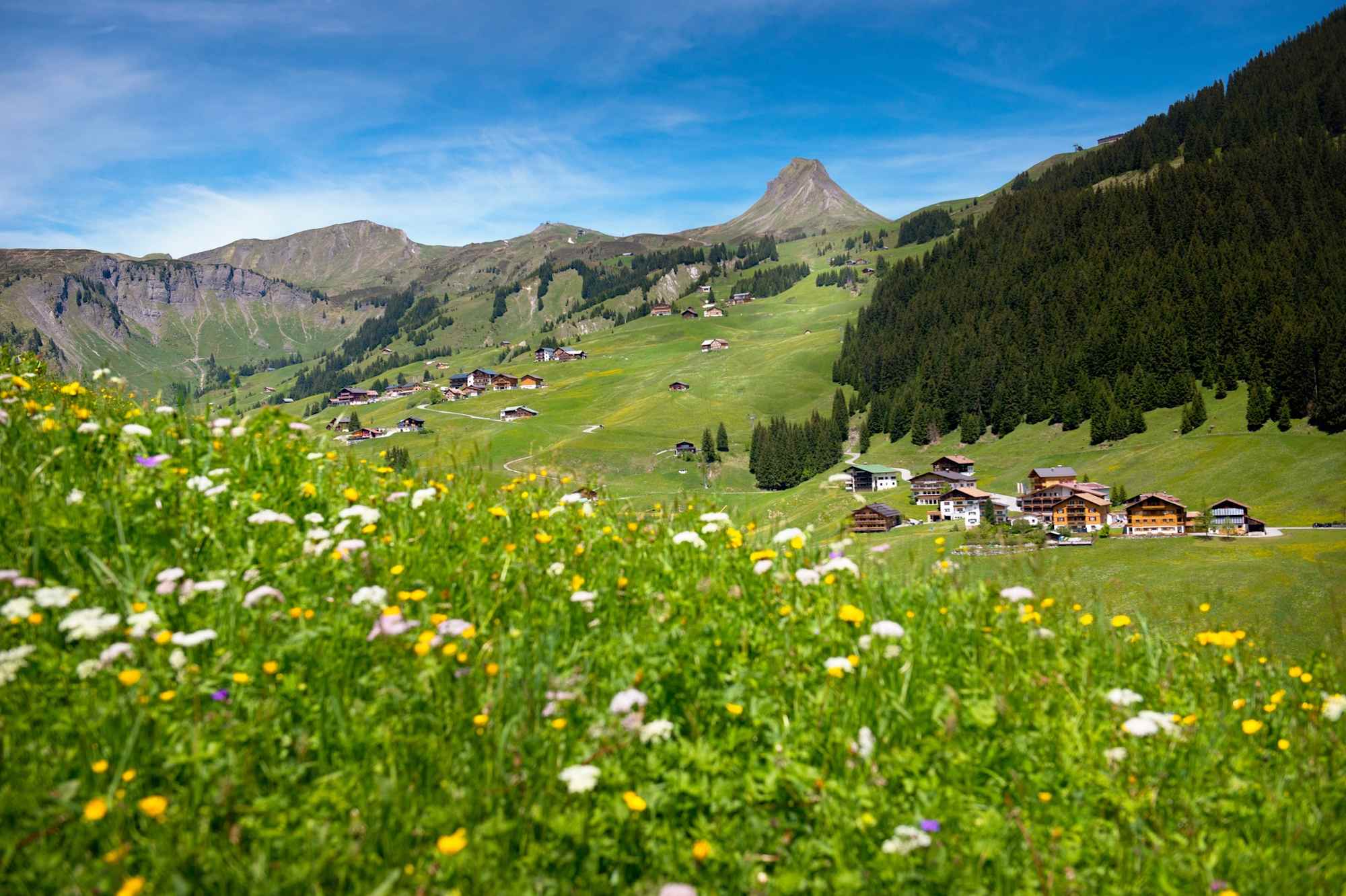 Damüls im Sommer