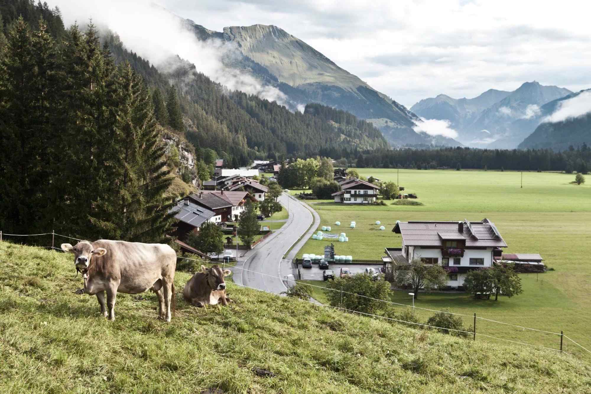 Blick auf Obergiblen im Tiroler Lechtal