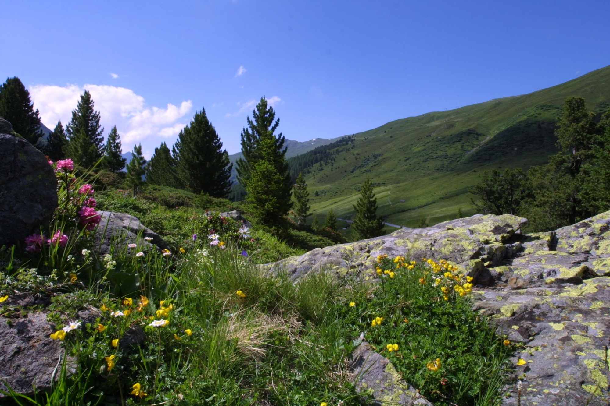 Panorama Flüela Schwarzhorn