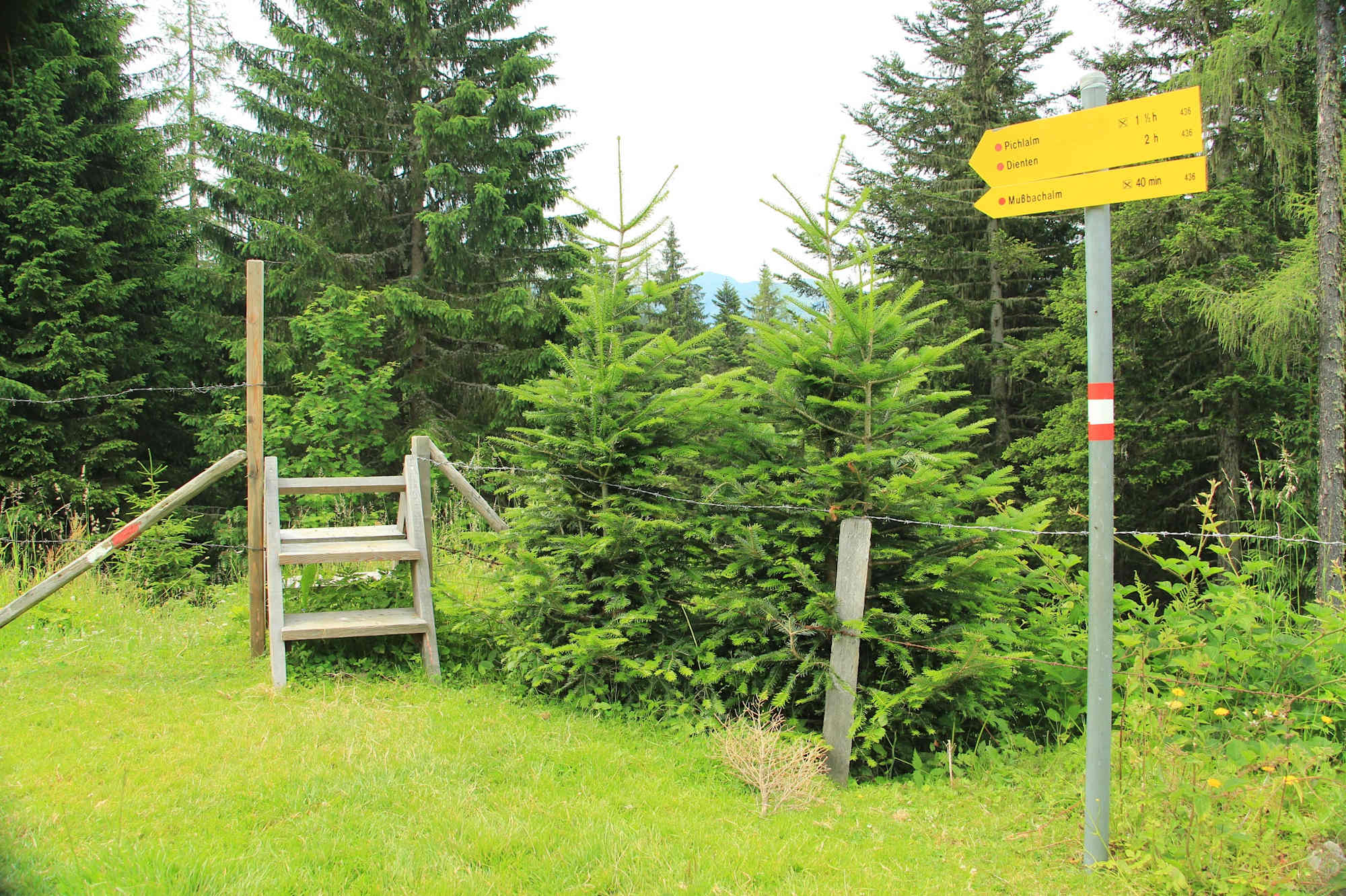 Weg Richtung Mußbachalm