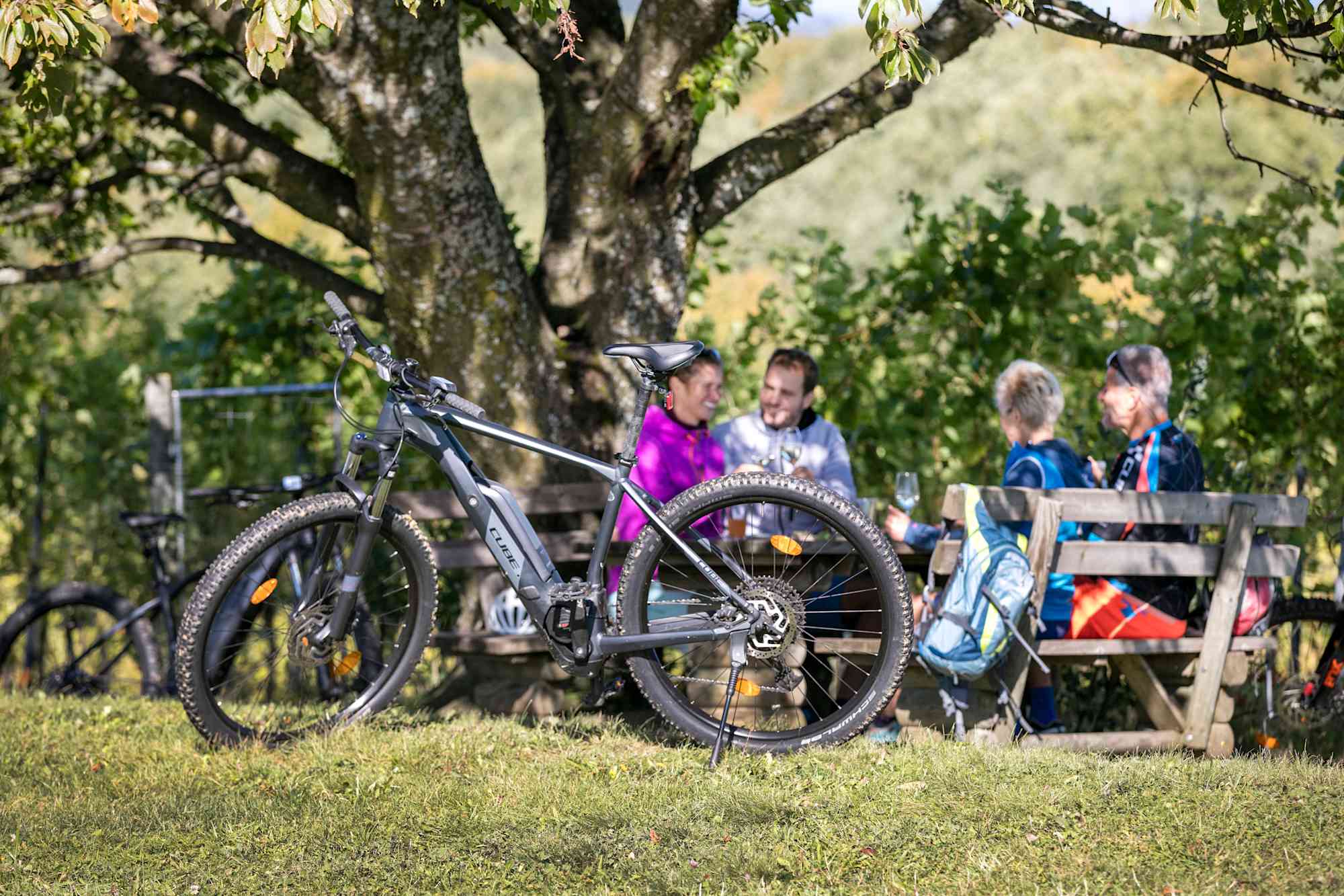 Rast am R12 in der Steiermark