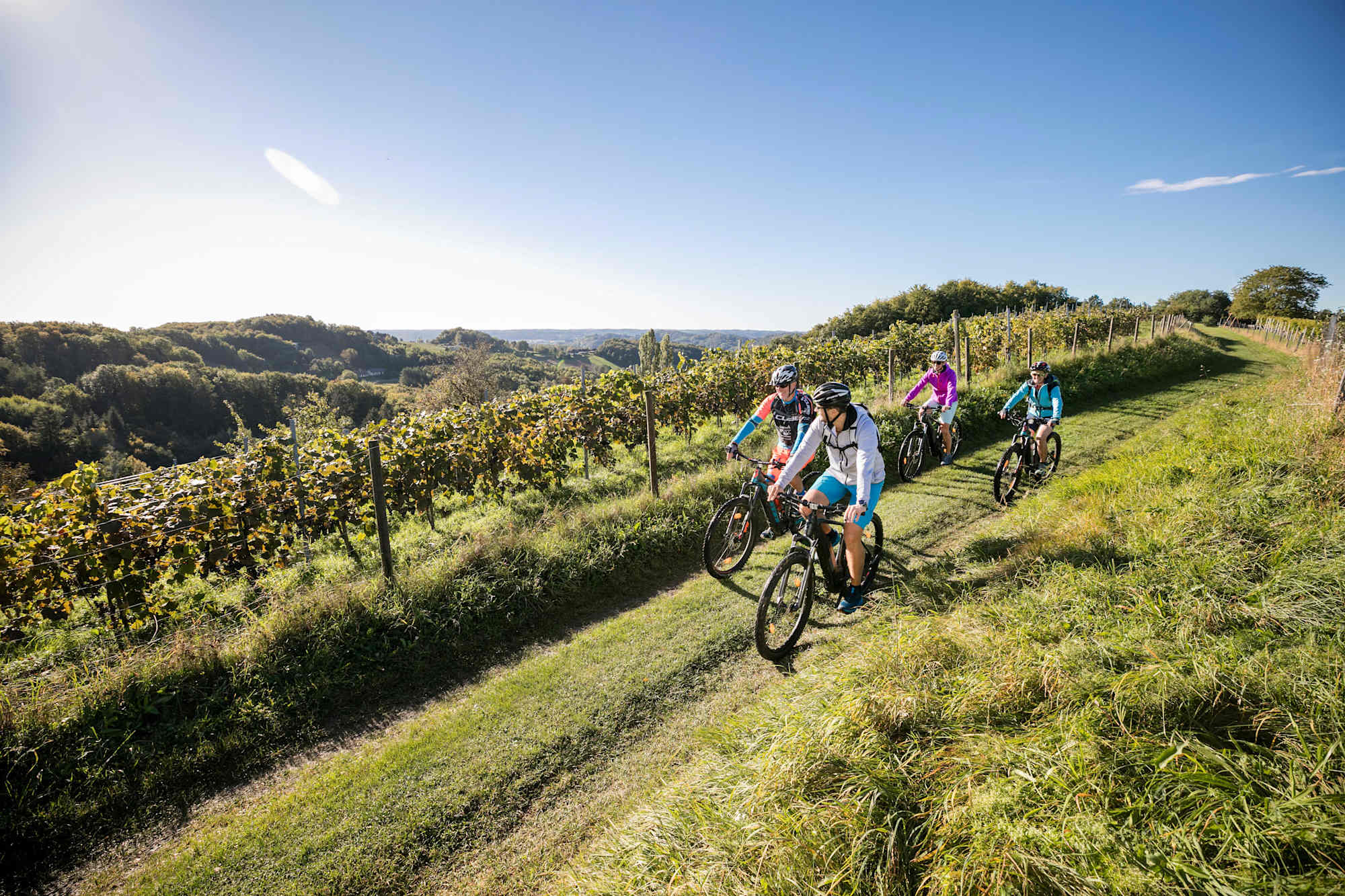 Unterwegs am R12: Weinberge in der Steiermark