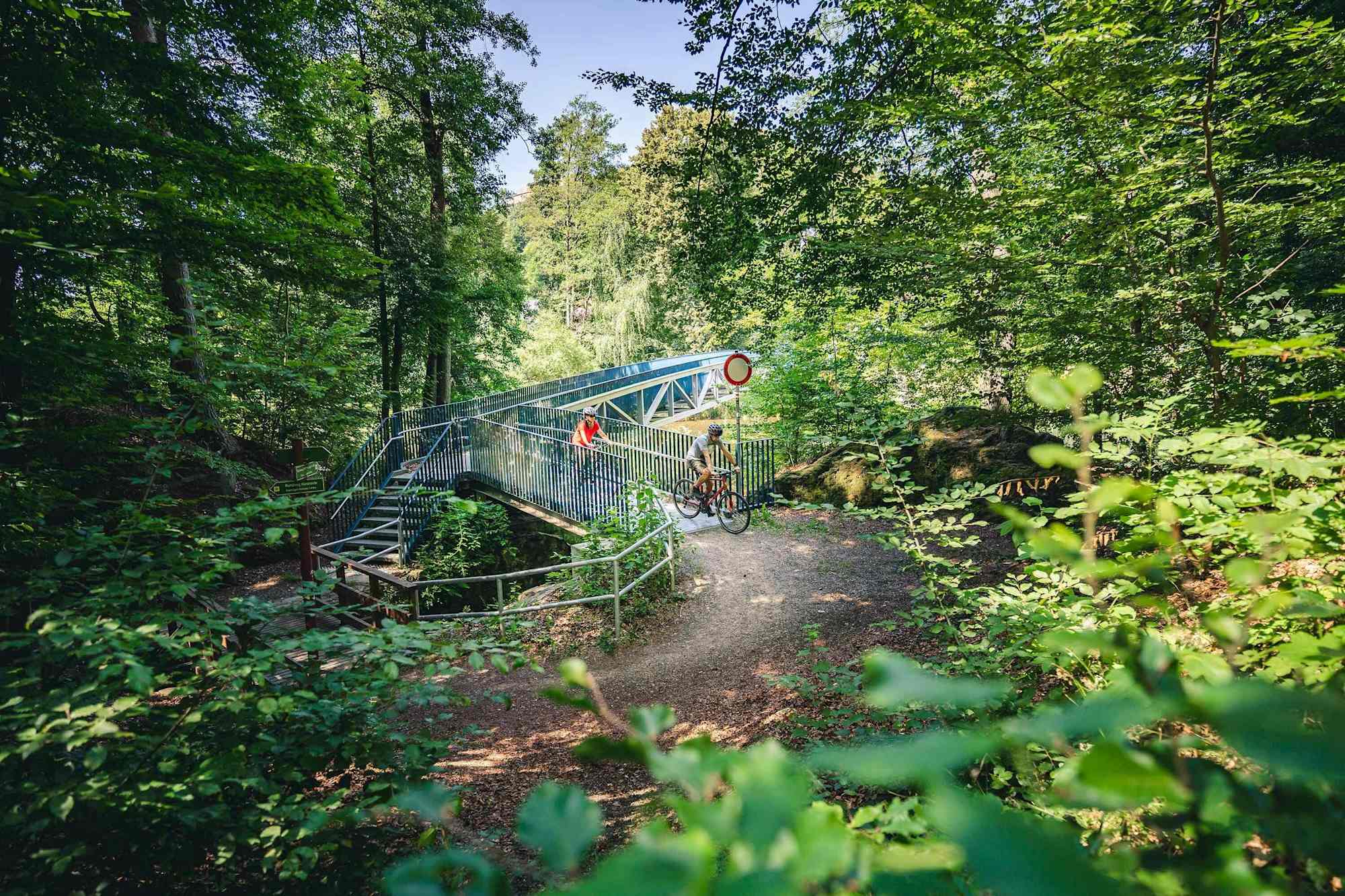 Radfahren und Wandern am Mulderadweg