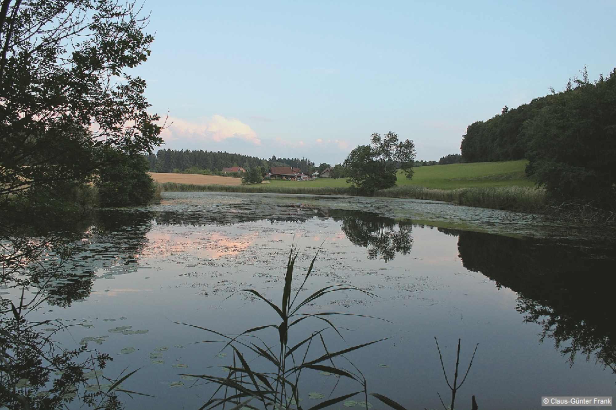 Rößler Weiher