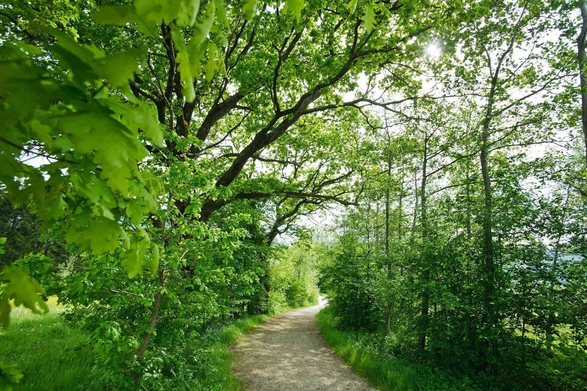 Entlang der Urschlauer Achen