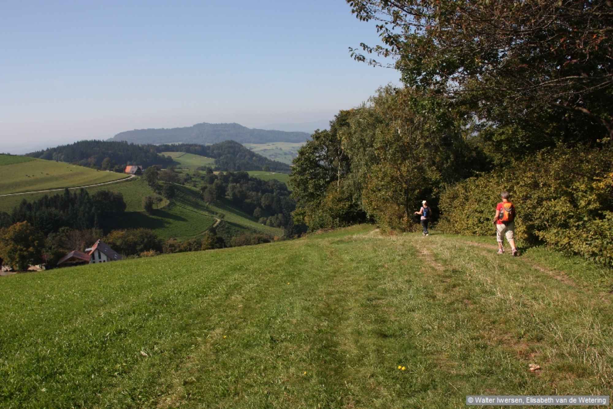Wir erreichen den Mainackerhof, folgen dem Sträßchen über das Hofgelände bis zu einer Rechtskurve und gehen geradeaus weiter auf einem Wiesenweg.