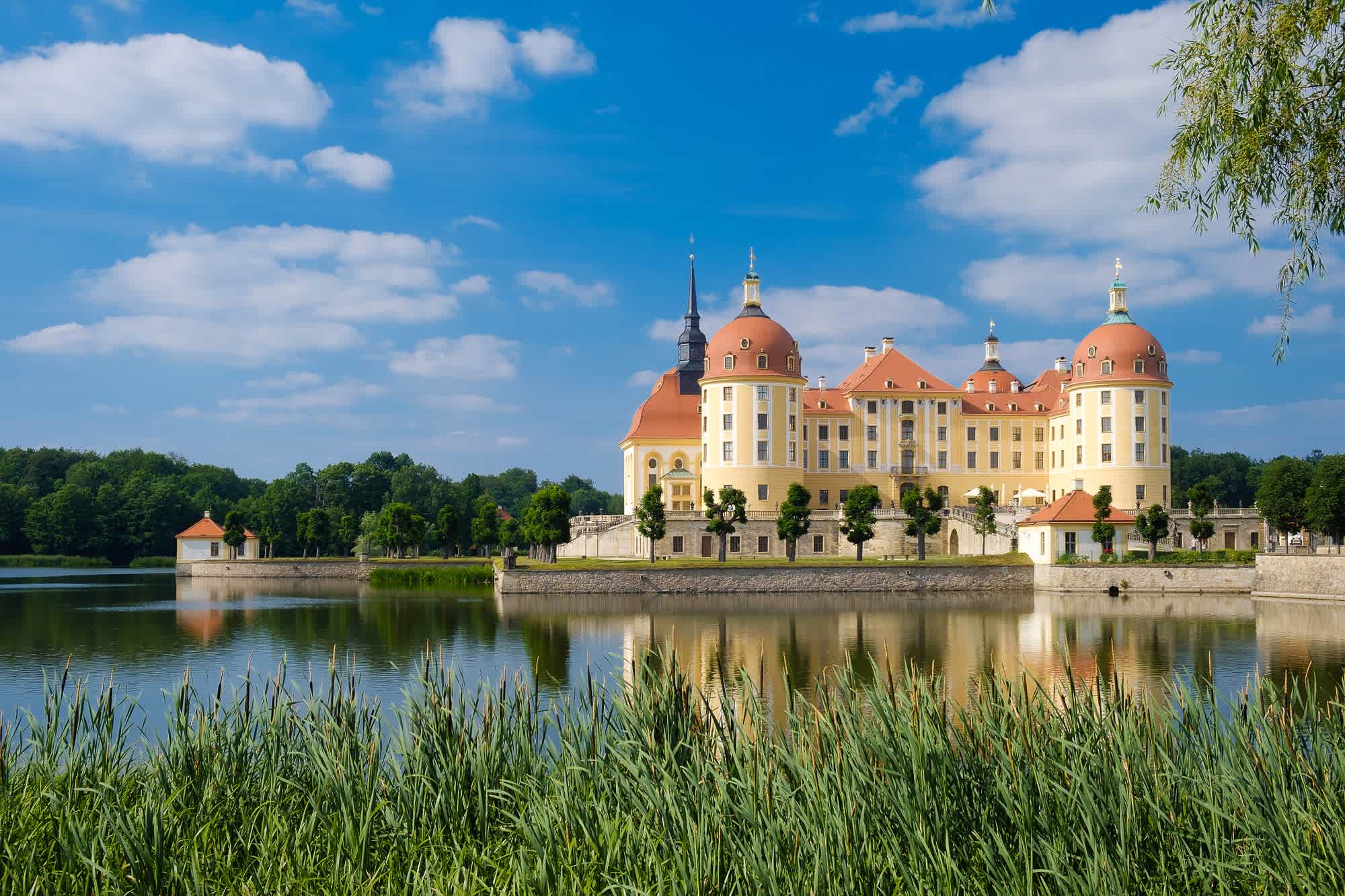 Schloss Moritzburg