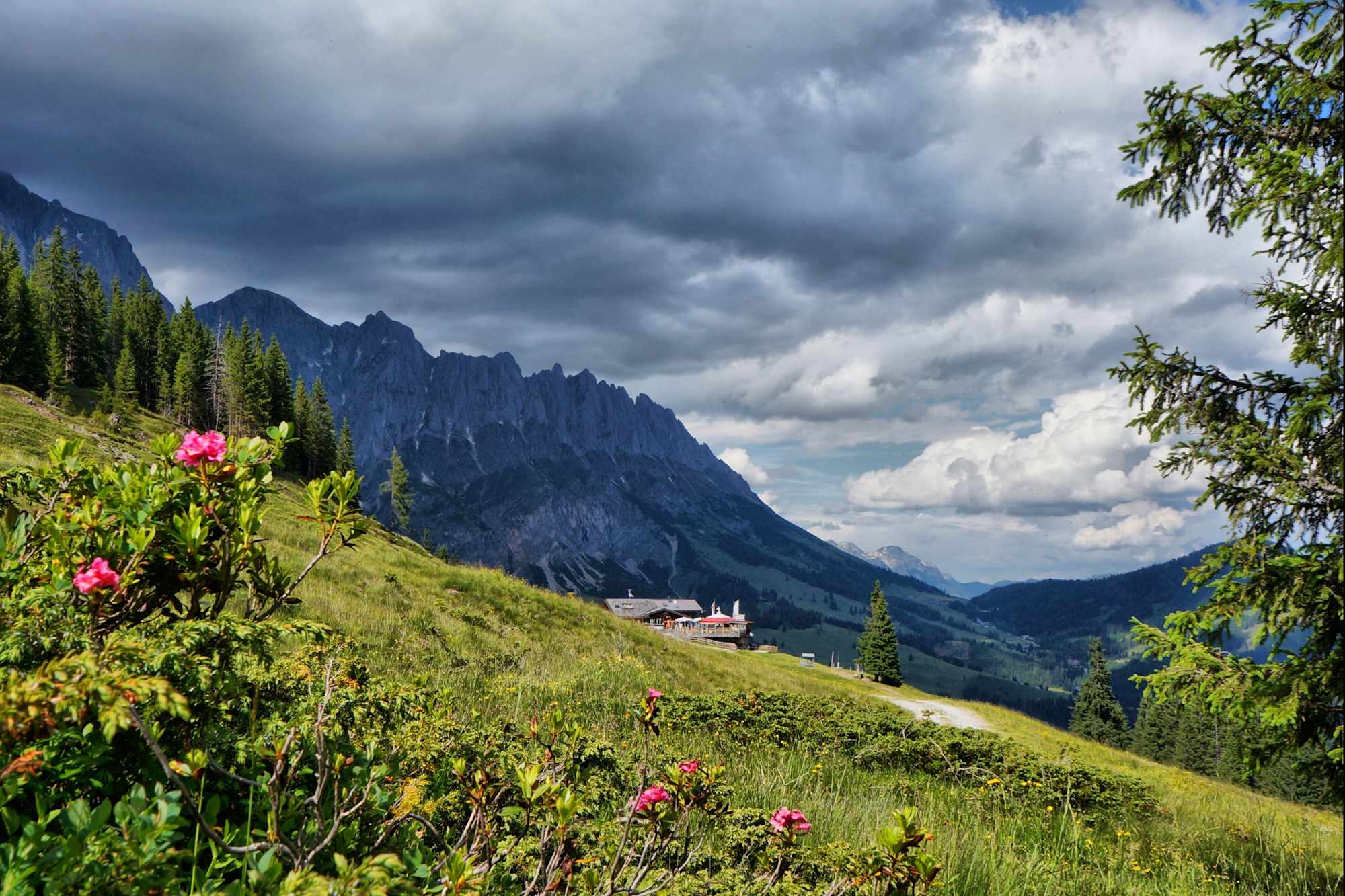 Region Hochkönig Panorama