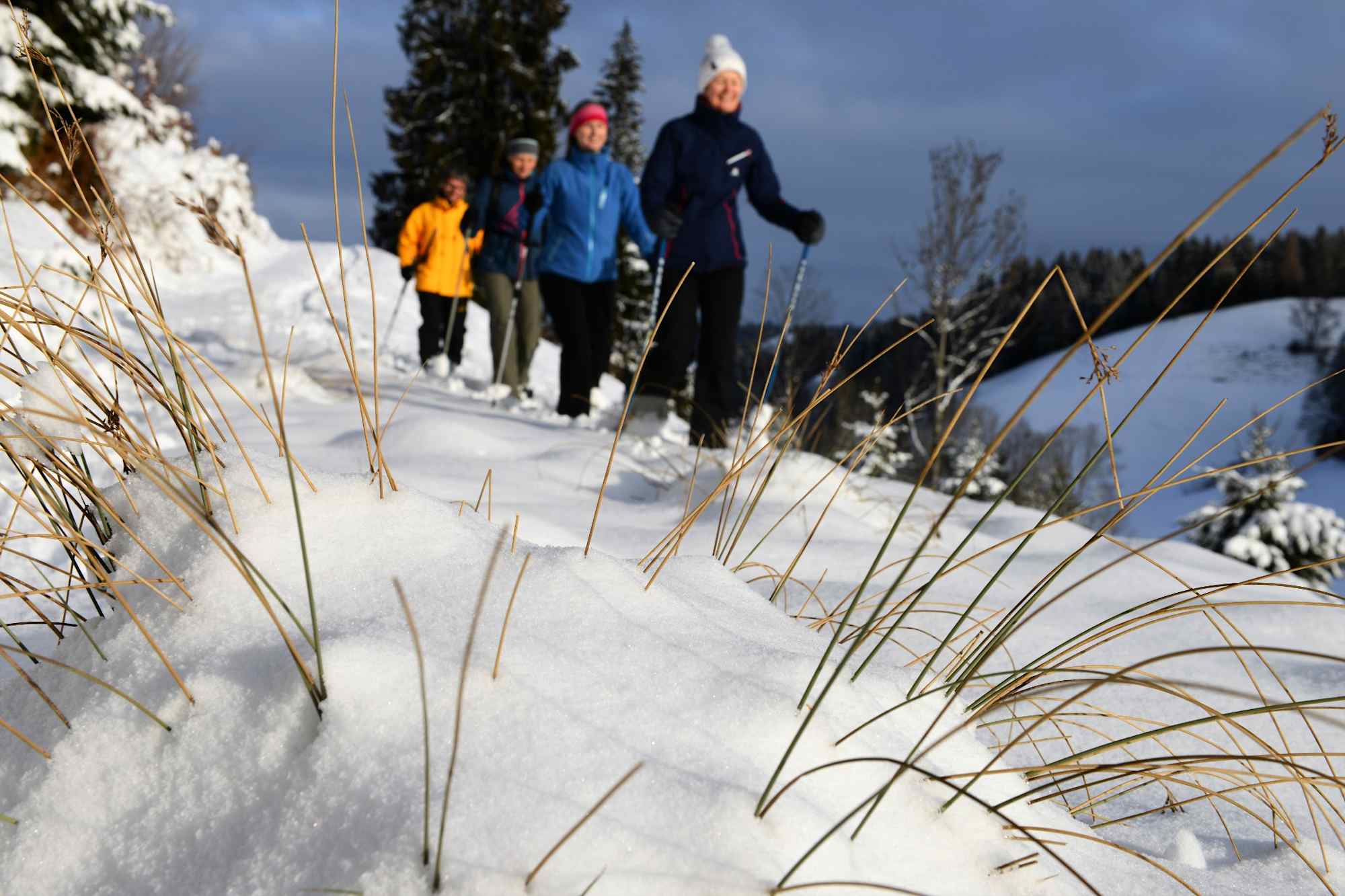 Unterwegs im Napfbergland