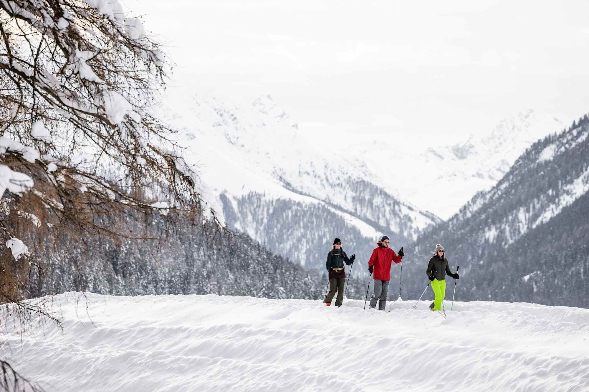 Auf dem Wildboden-Trail