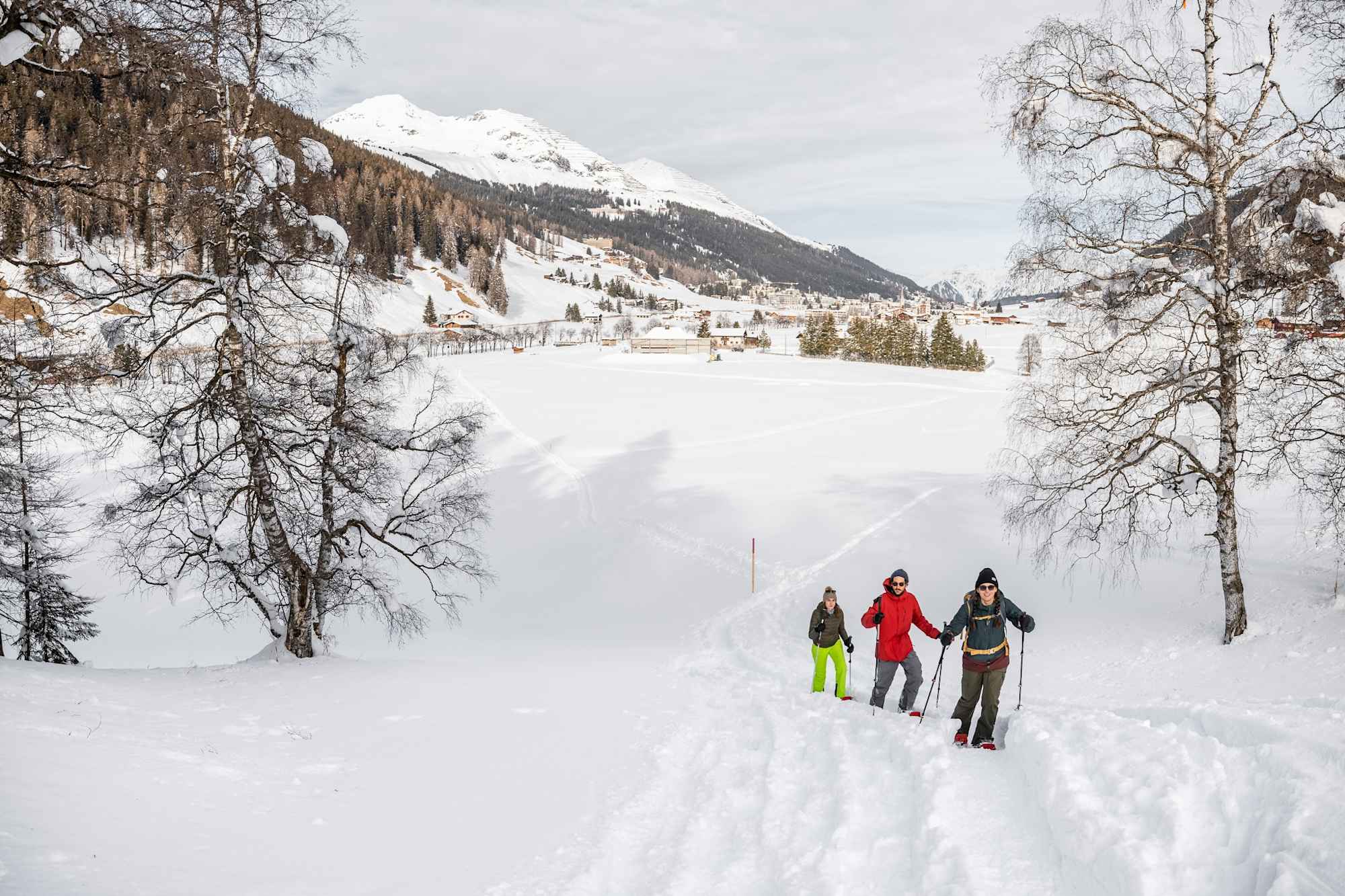 Schöne Landschaft am Wildboden-Trail