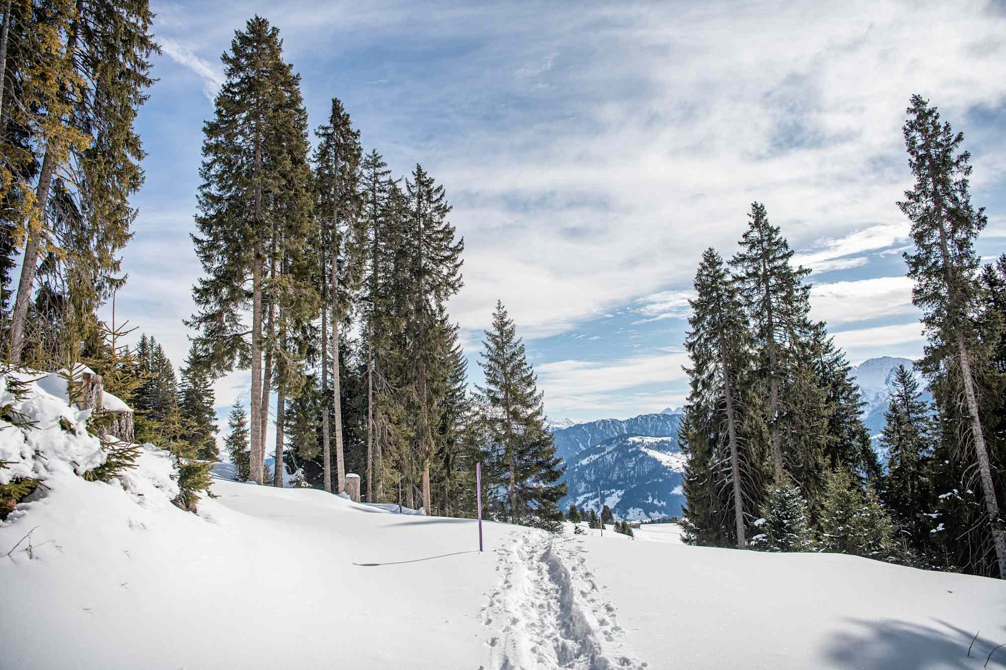Auf dem Schneeschuhtrail.