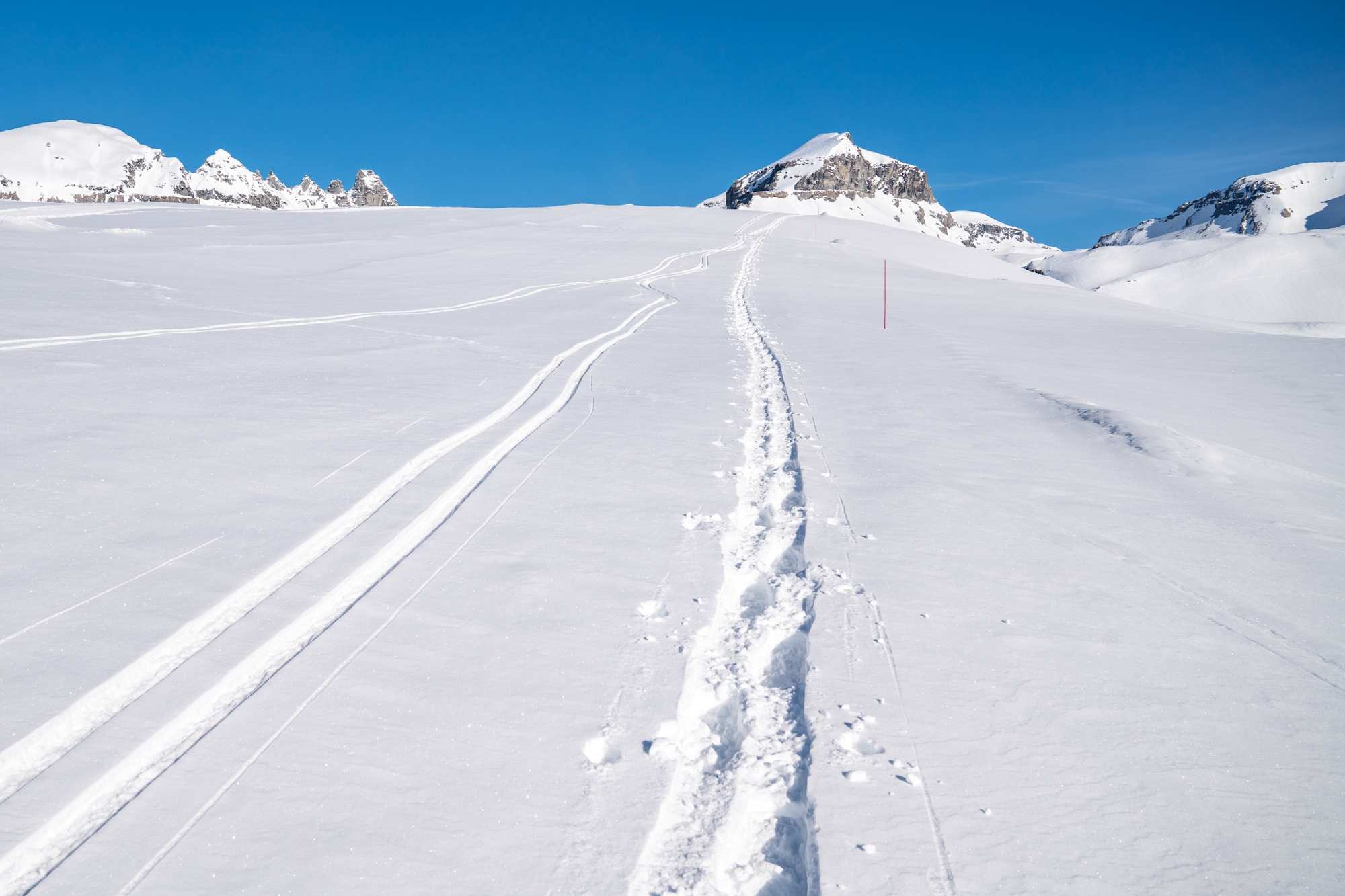 Über einen schönen Rücken für der Trail in die Höhe