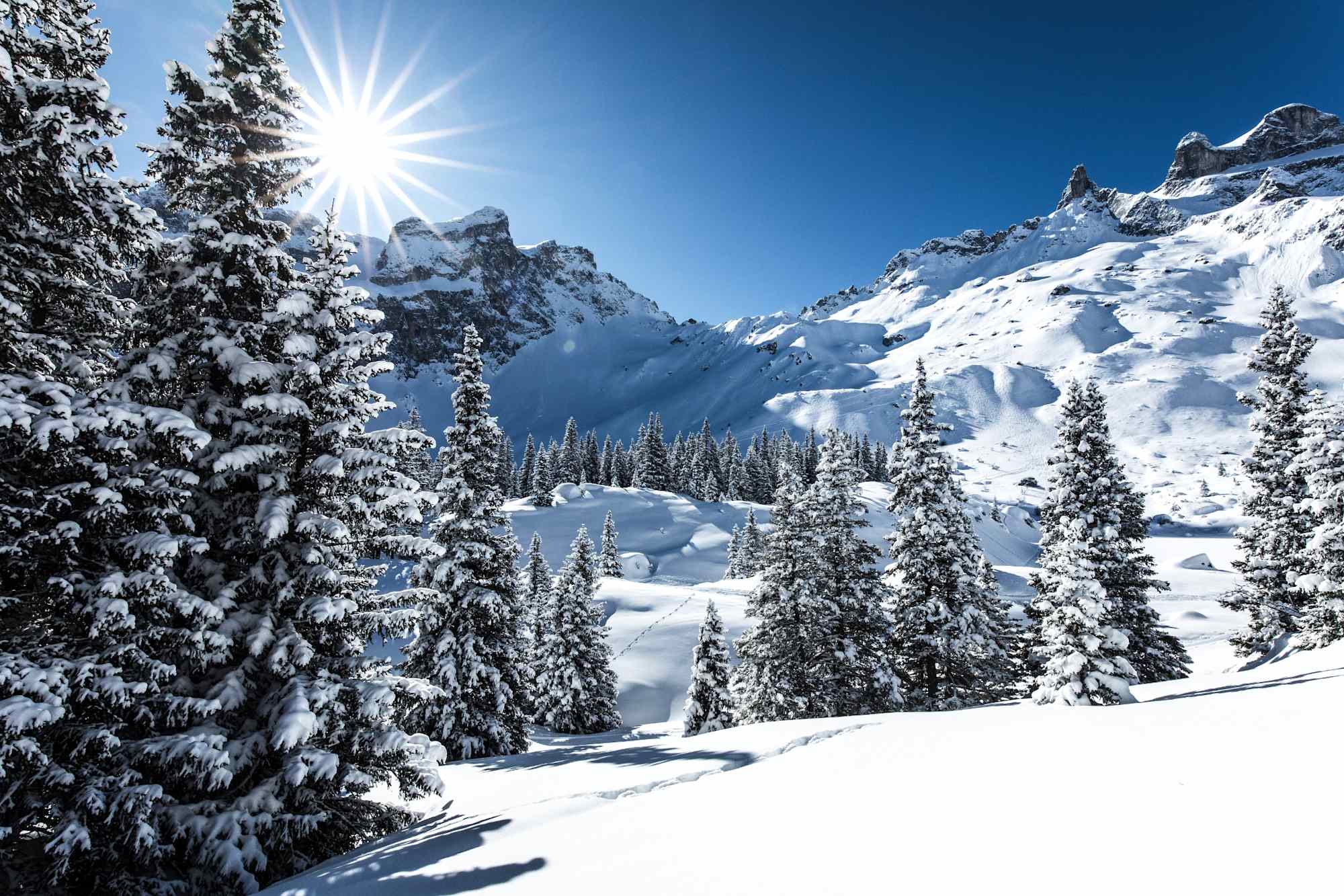 Winterlandschaft im Gauertal