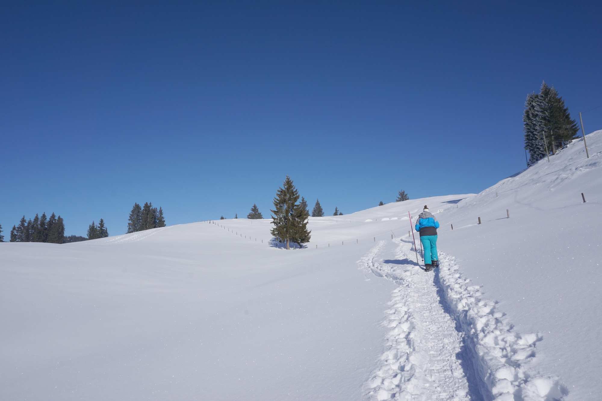 Mit den Schneeschuhen unterwegs auf der Marbachegg
