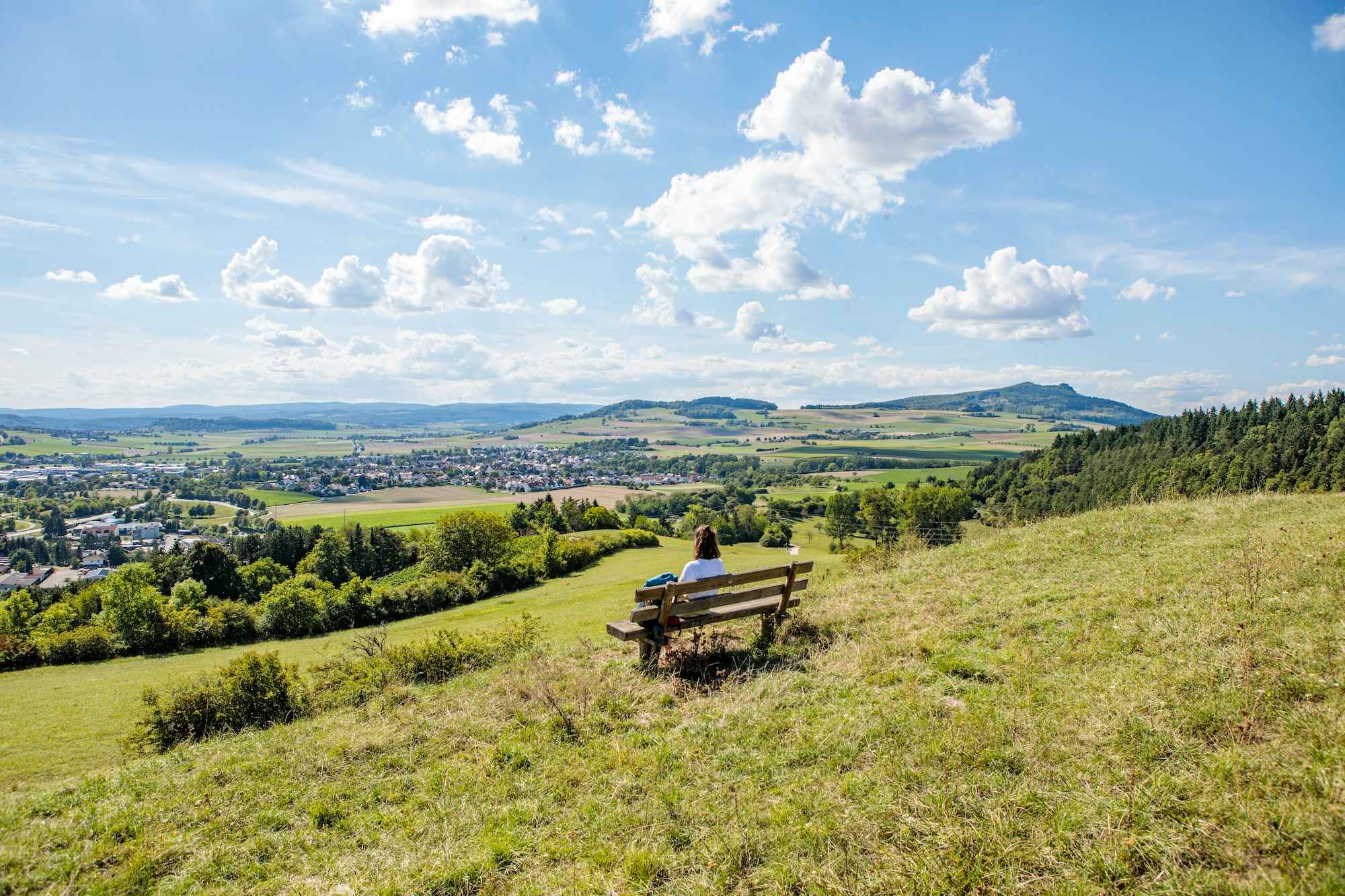 Hegauer Kegelspiel: Hohentwieler