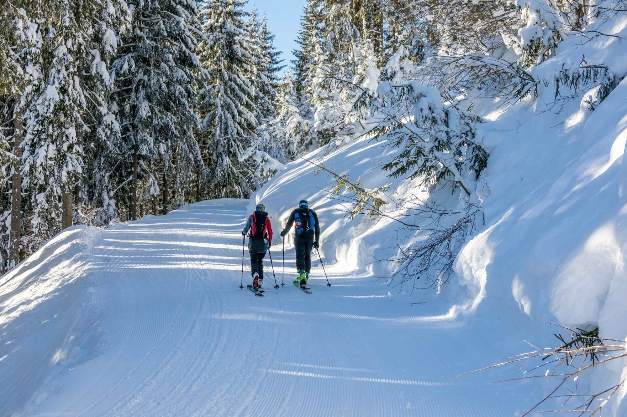 Über sanfte Forstwege geht es von der Talstation des Sessellifts Resterhöhe hinauf zur Hanglalm.