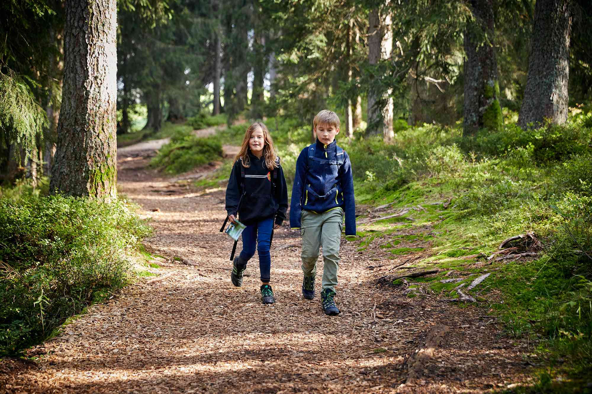 Moor-Rundweg in Sörenberg
