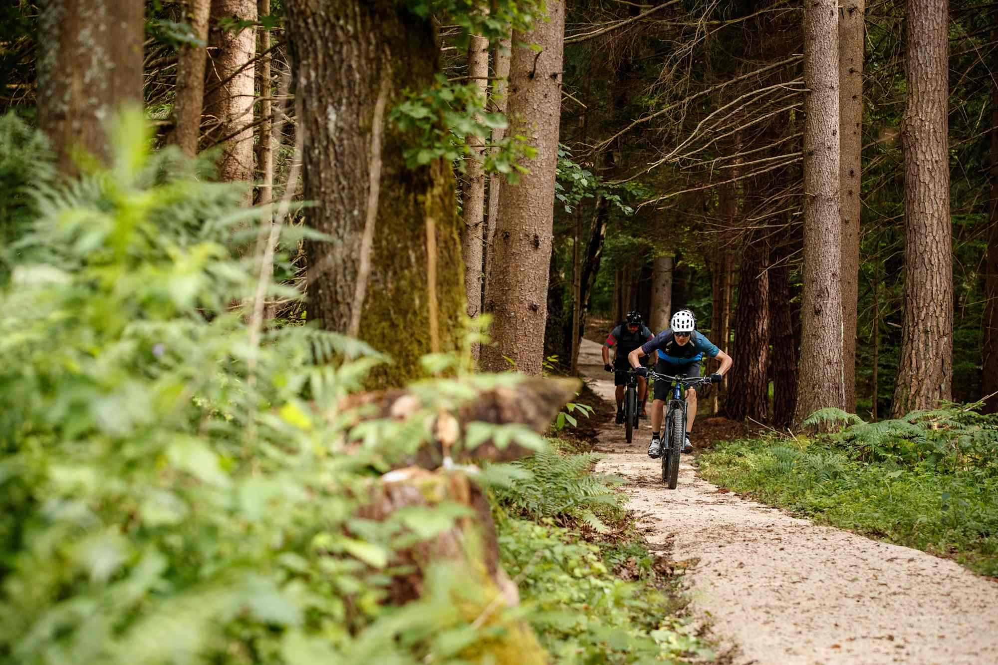Flowtrail Steinerberg