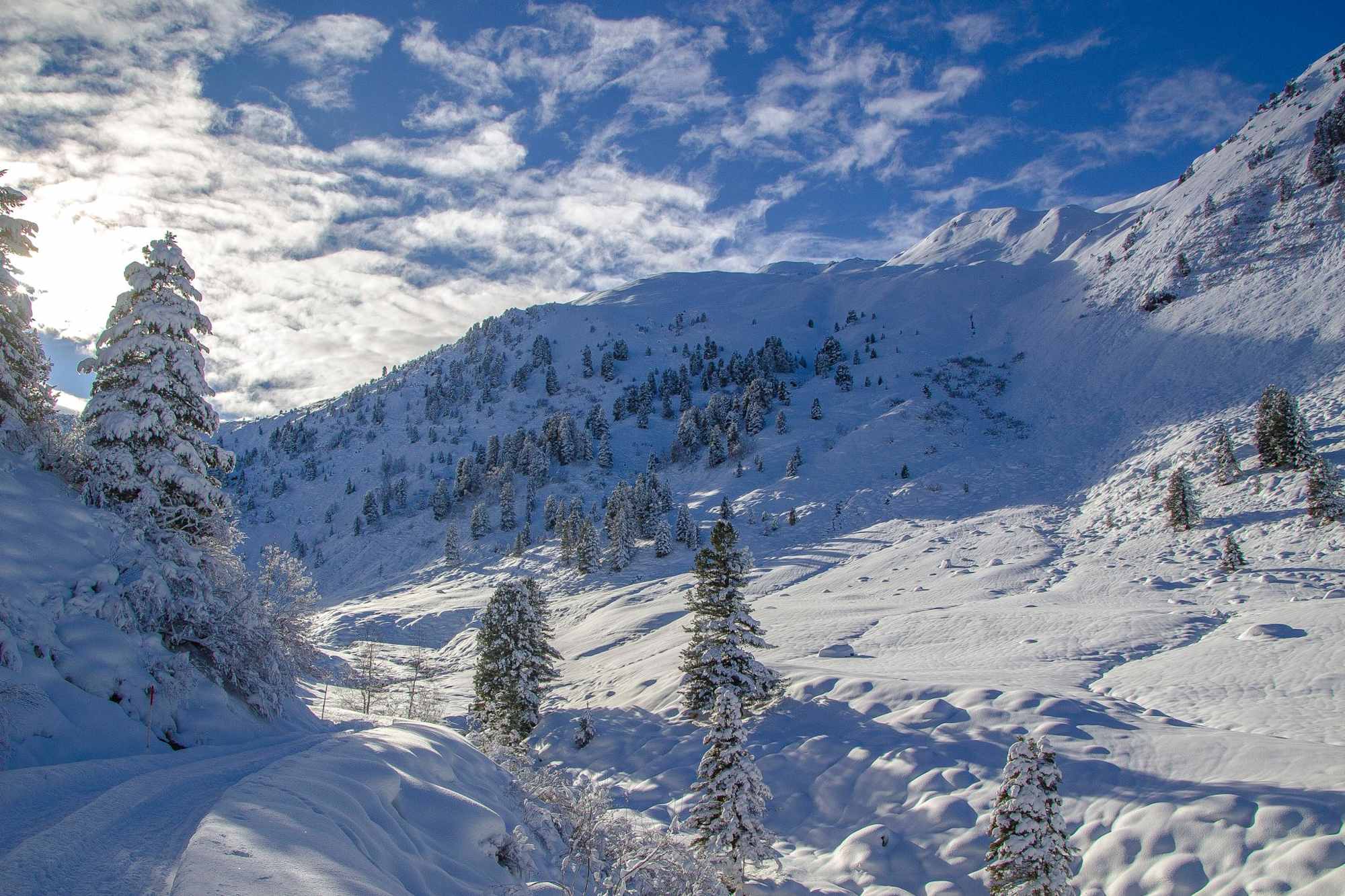Tiefster Winter rund um die Potsdamer Hütte im Fotschertal
