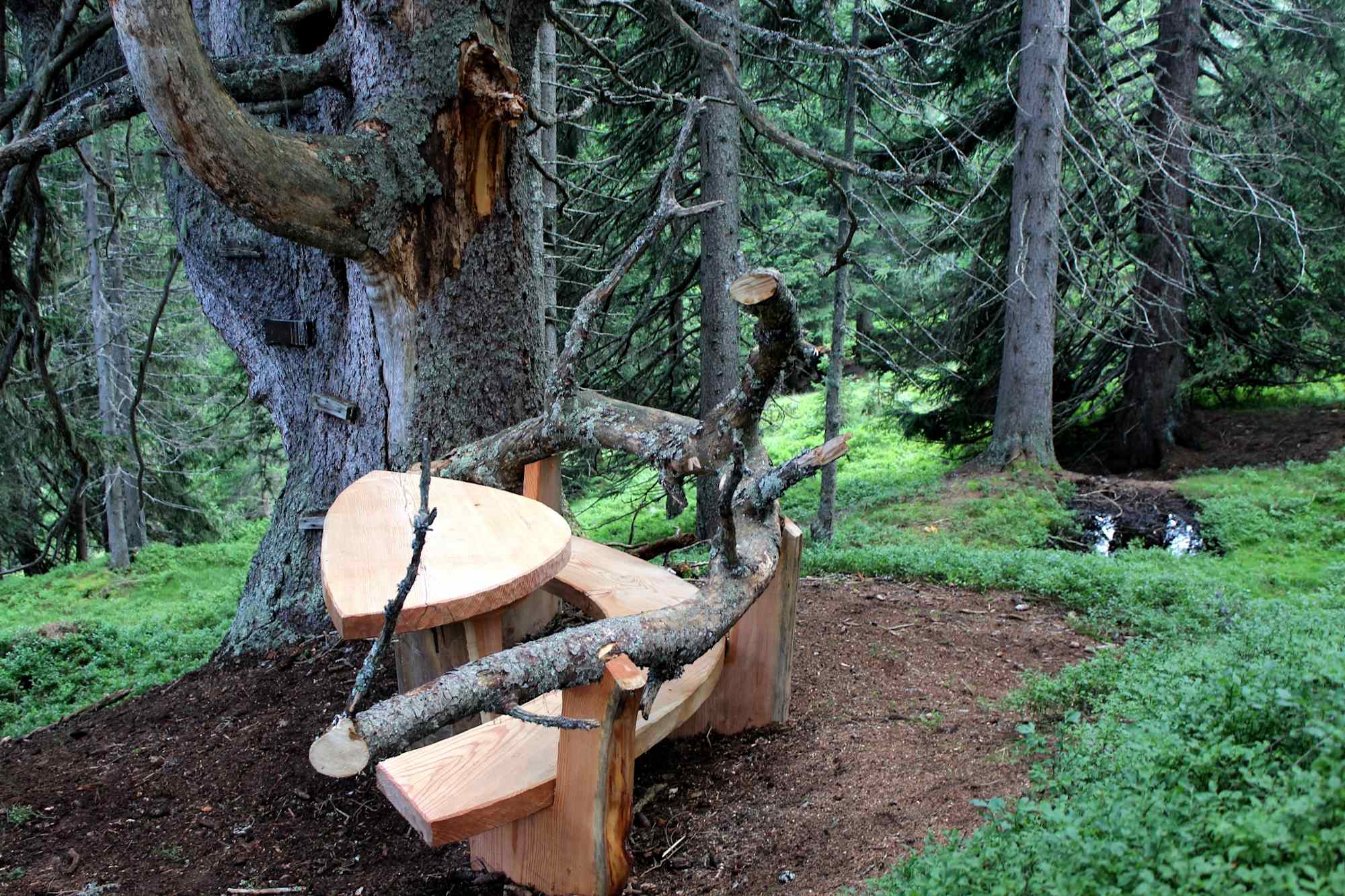 Logenplatz Tiergartenalm