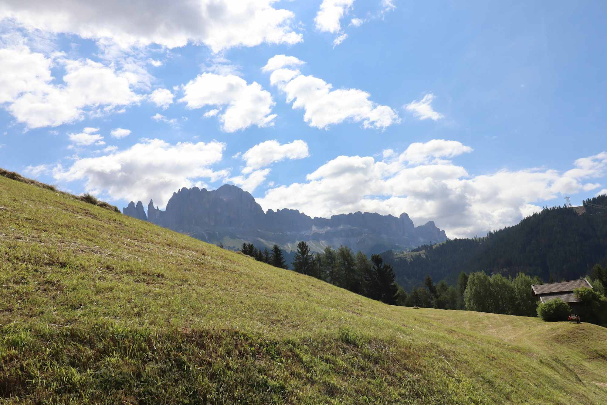 Blick auf den Rosengarten in Tiers