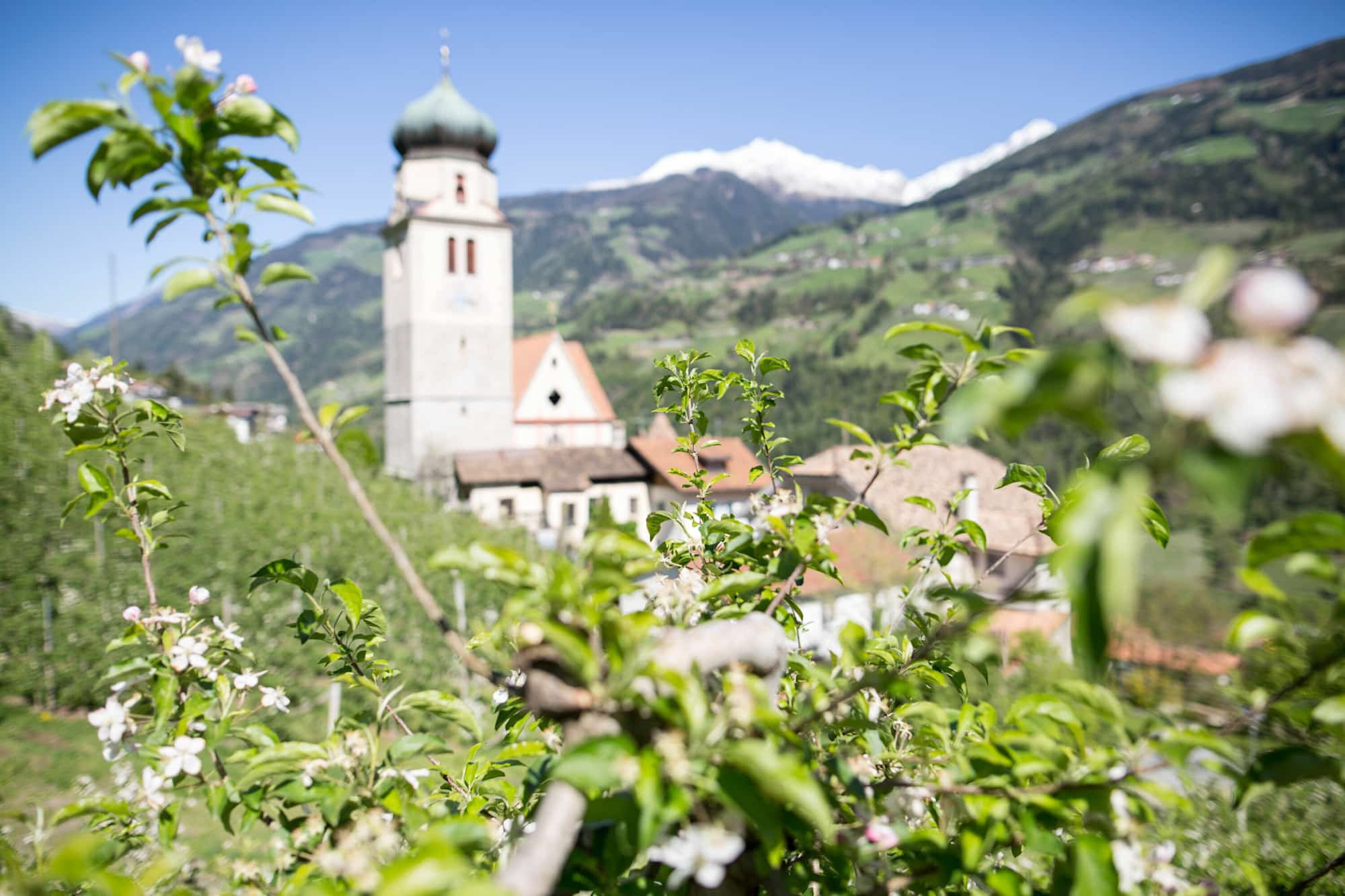 Der Besinnungsweg in Riffian