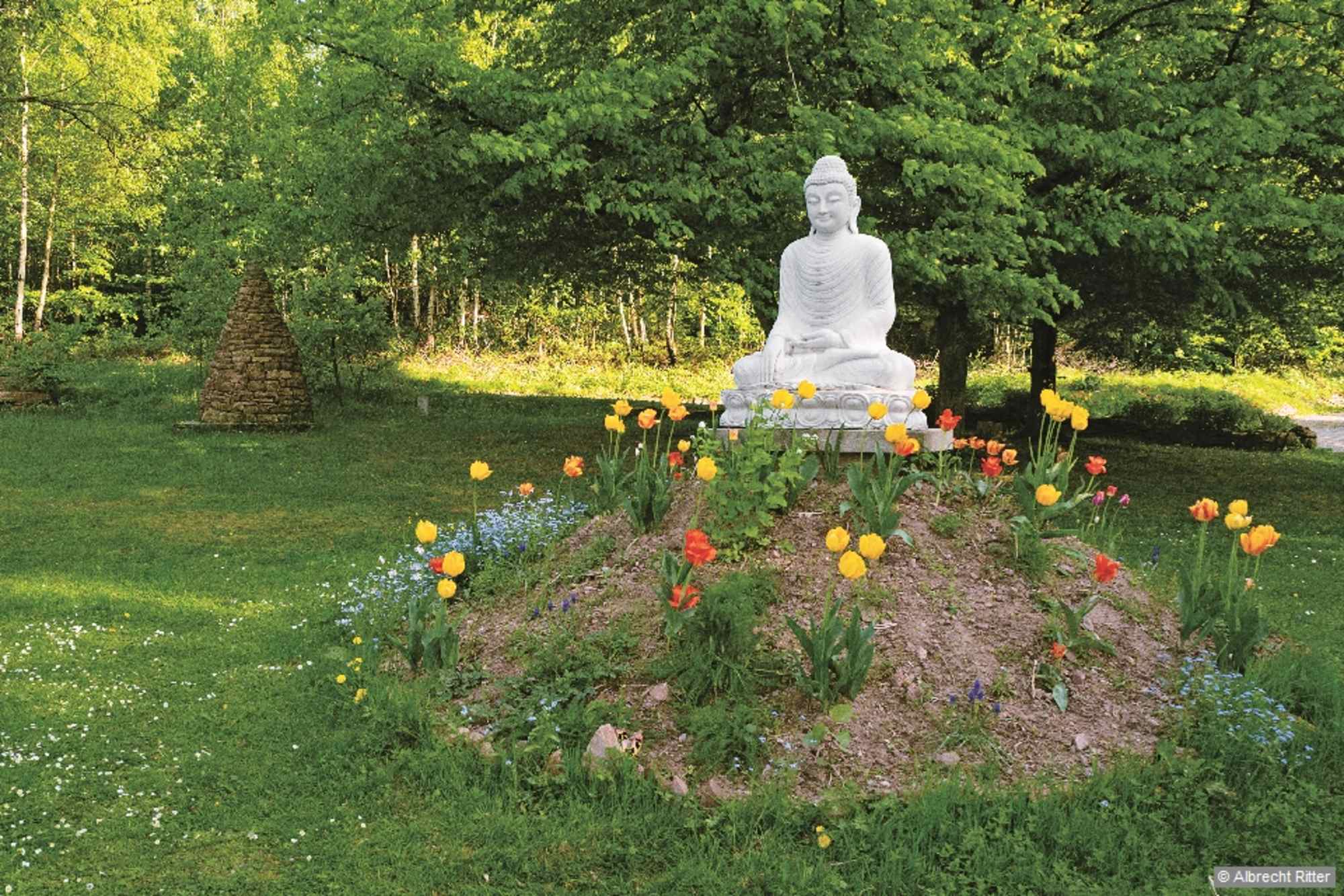 Buddhas Weg