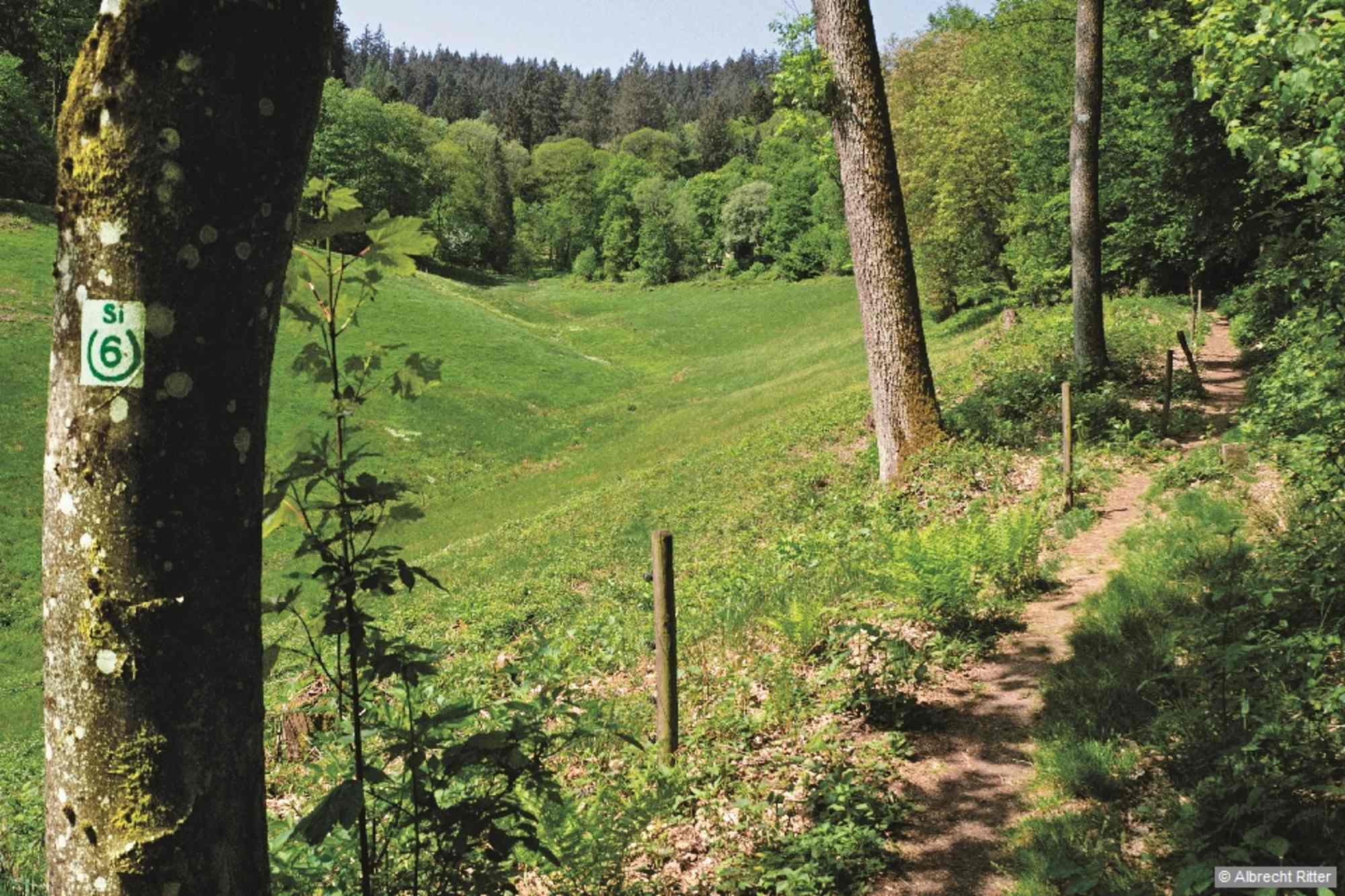 Im Eiterbachtal