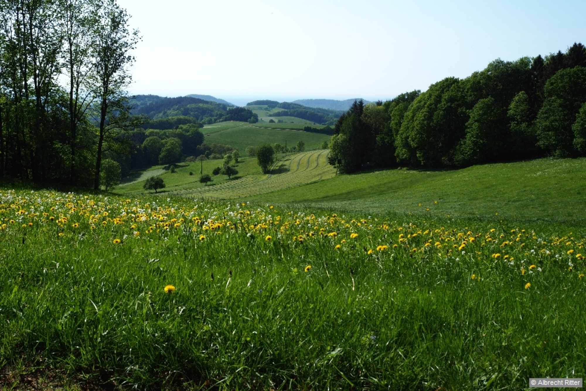 Odenwald