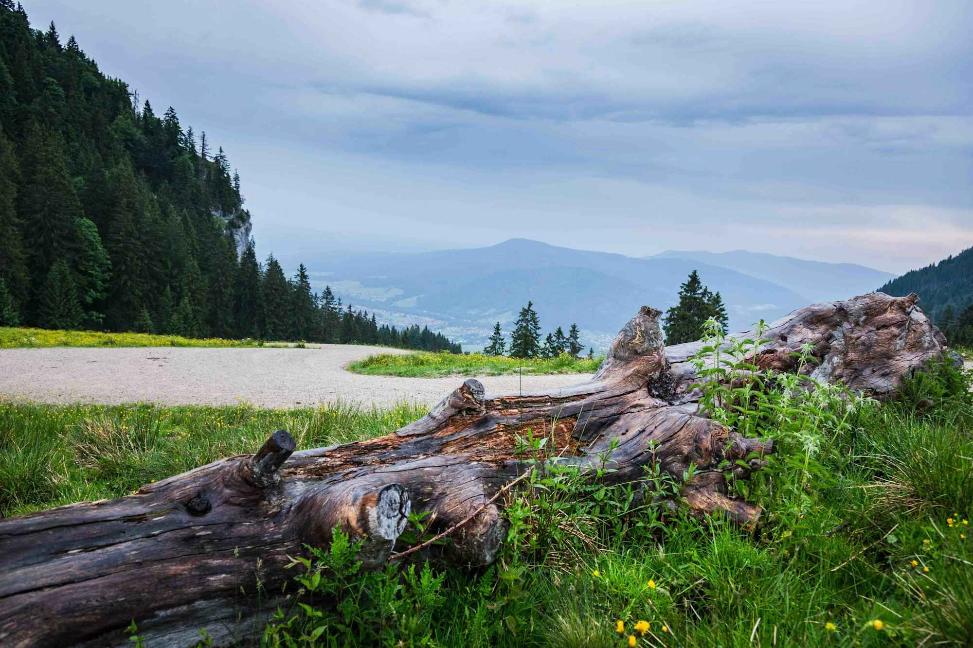 Auf dem Weg auf den Unternberg bei Ruhpolding