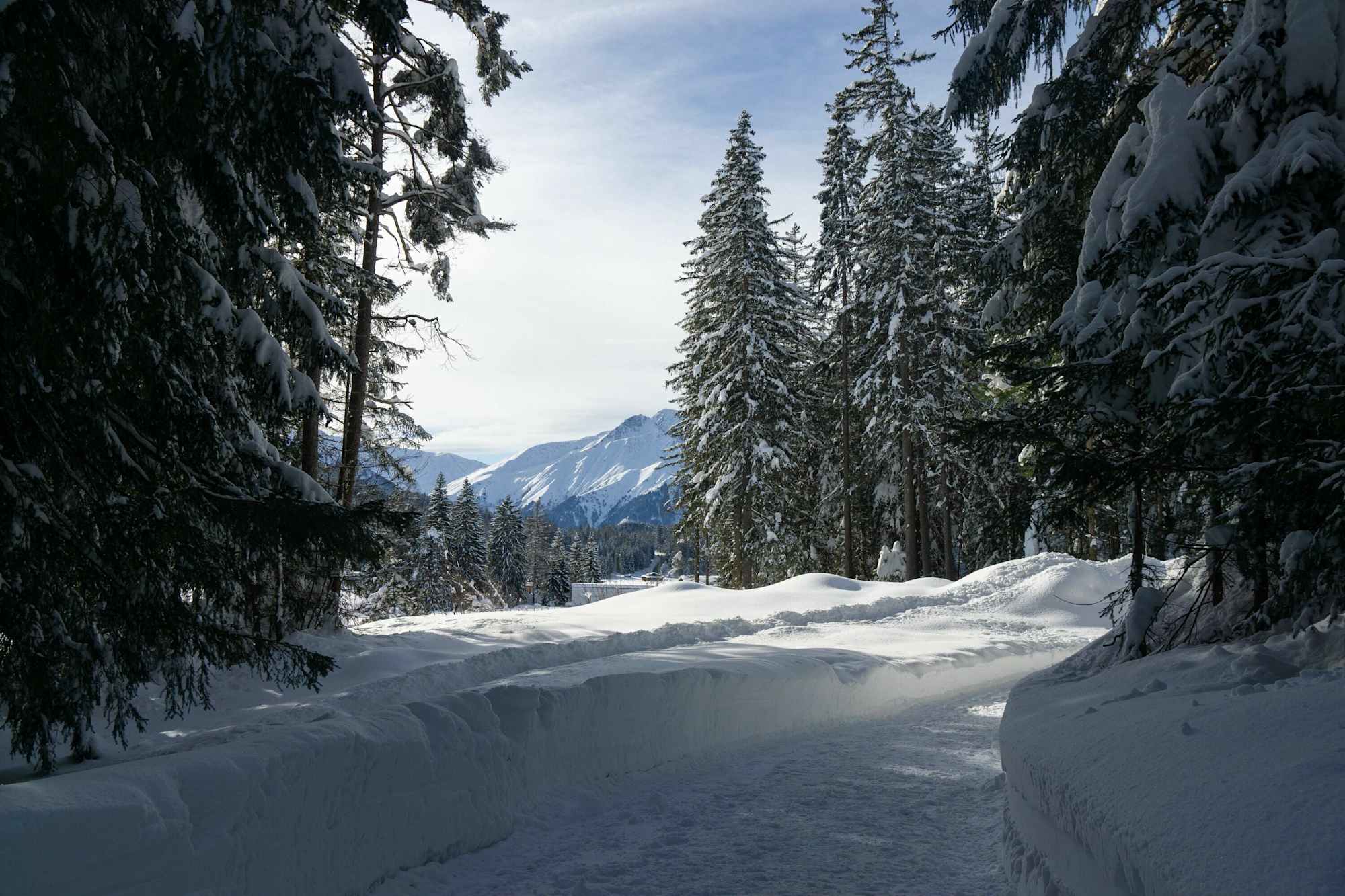 Romantische Winterwanderung rund um den Gschwandkopf