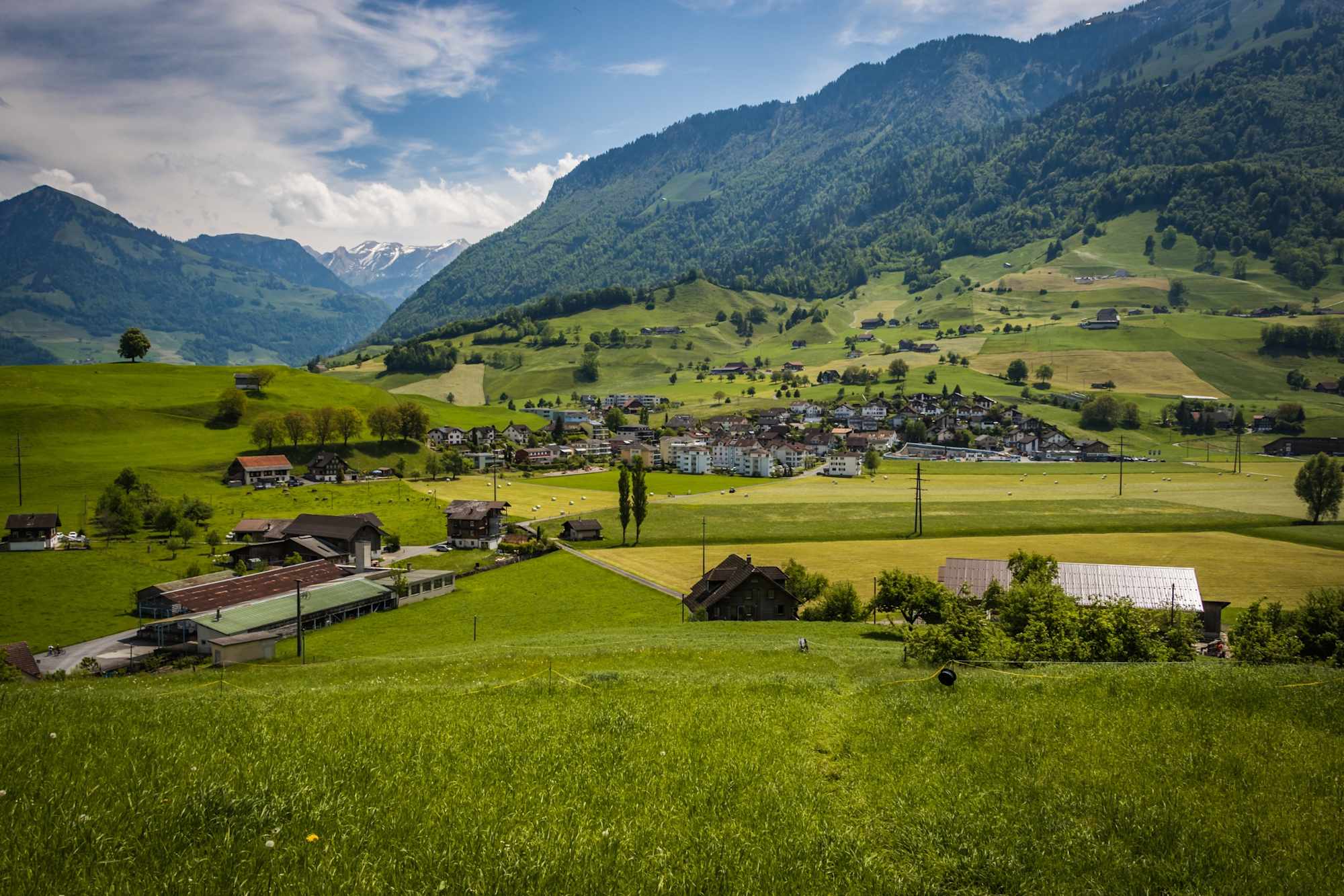 Wanderweg durch Wiese bei Ennetmoos
