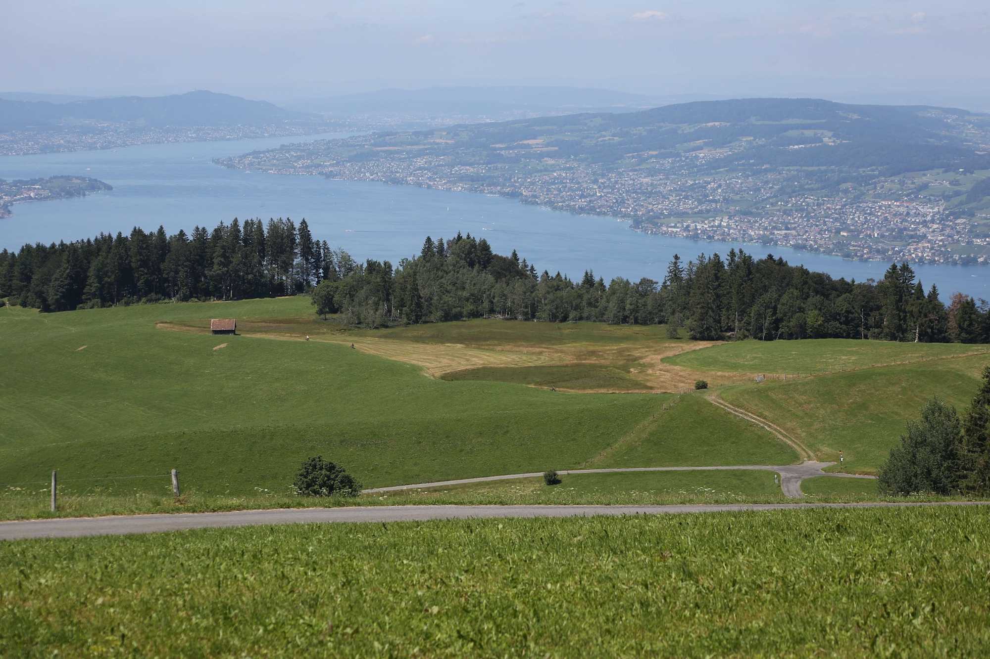 Blick auf den Zürichsee