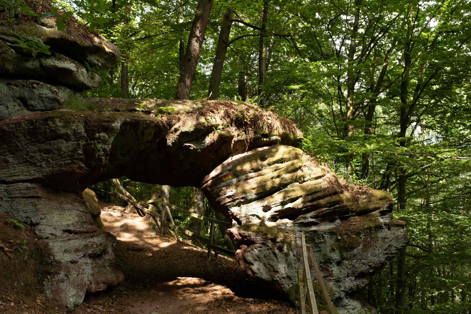 Felsenwaldtour