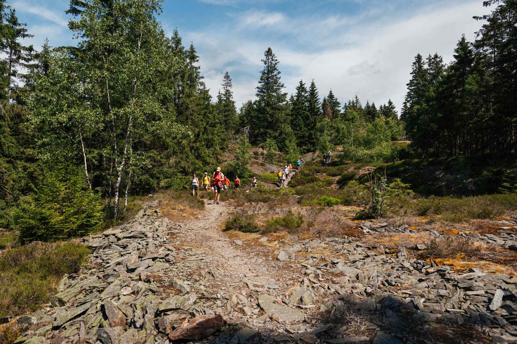 Griffelpfad bei Steinach