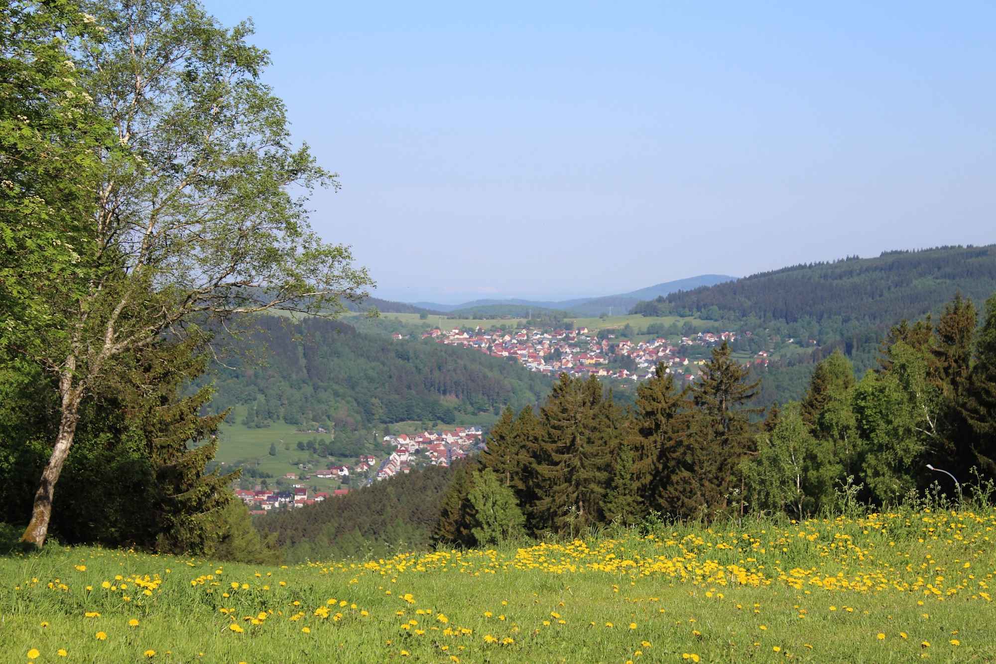 Blick auf Steinbach-Hallenberg vom Knüllfeld