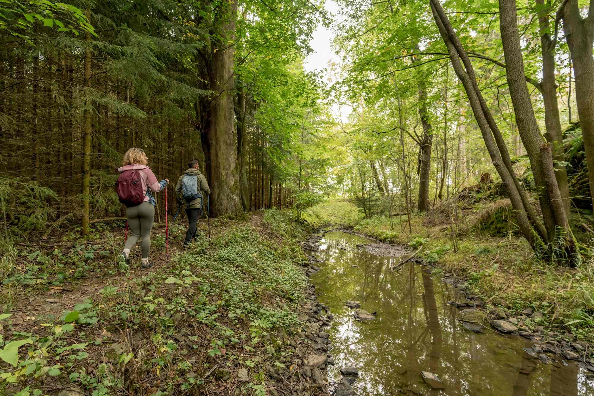 Kammweg Etappe 16 Kenitzbachtal