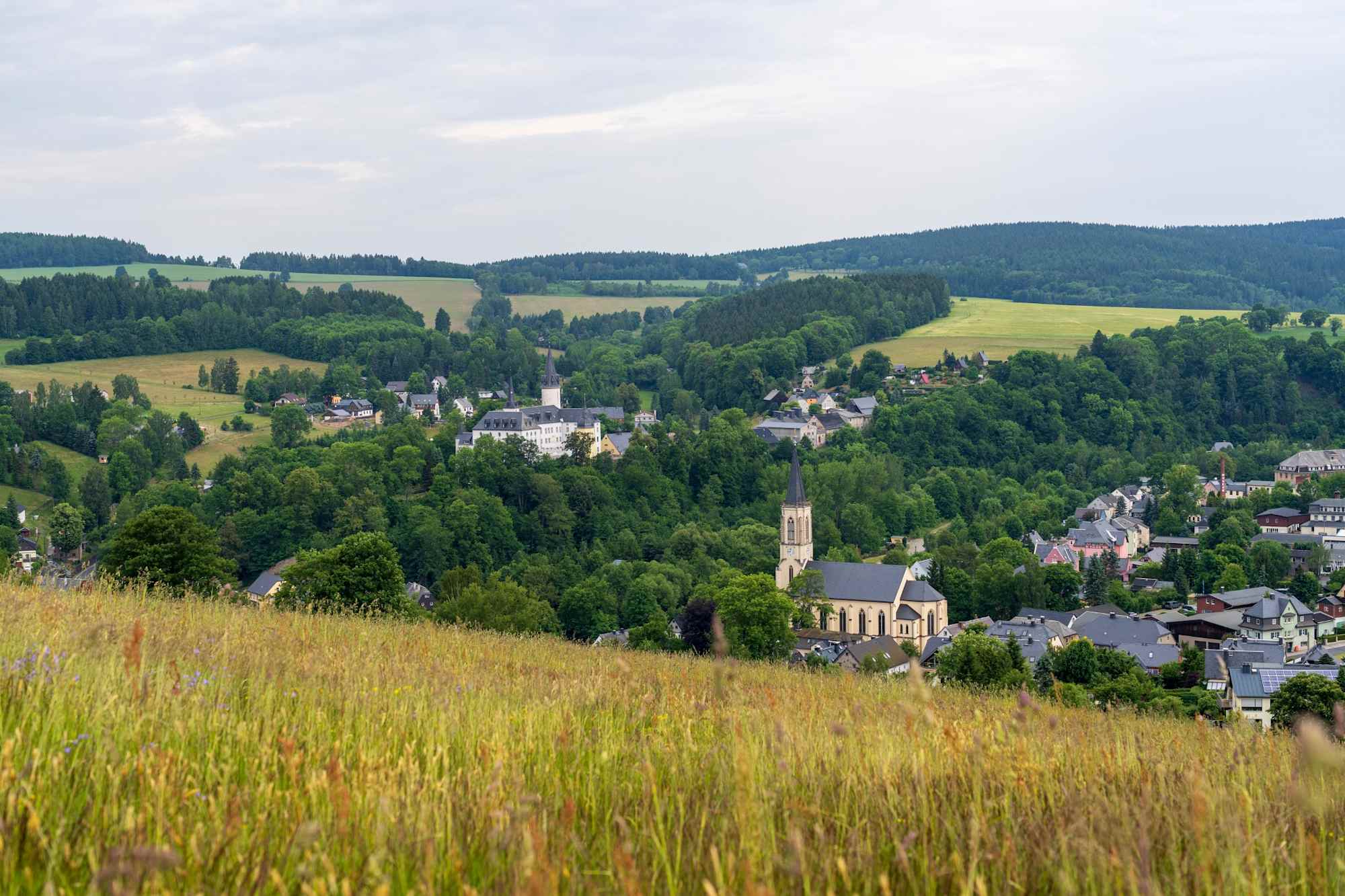 Blick auf Neuhausen