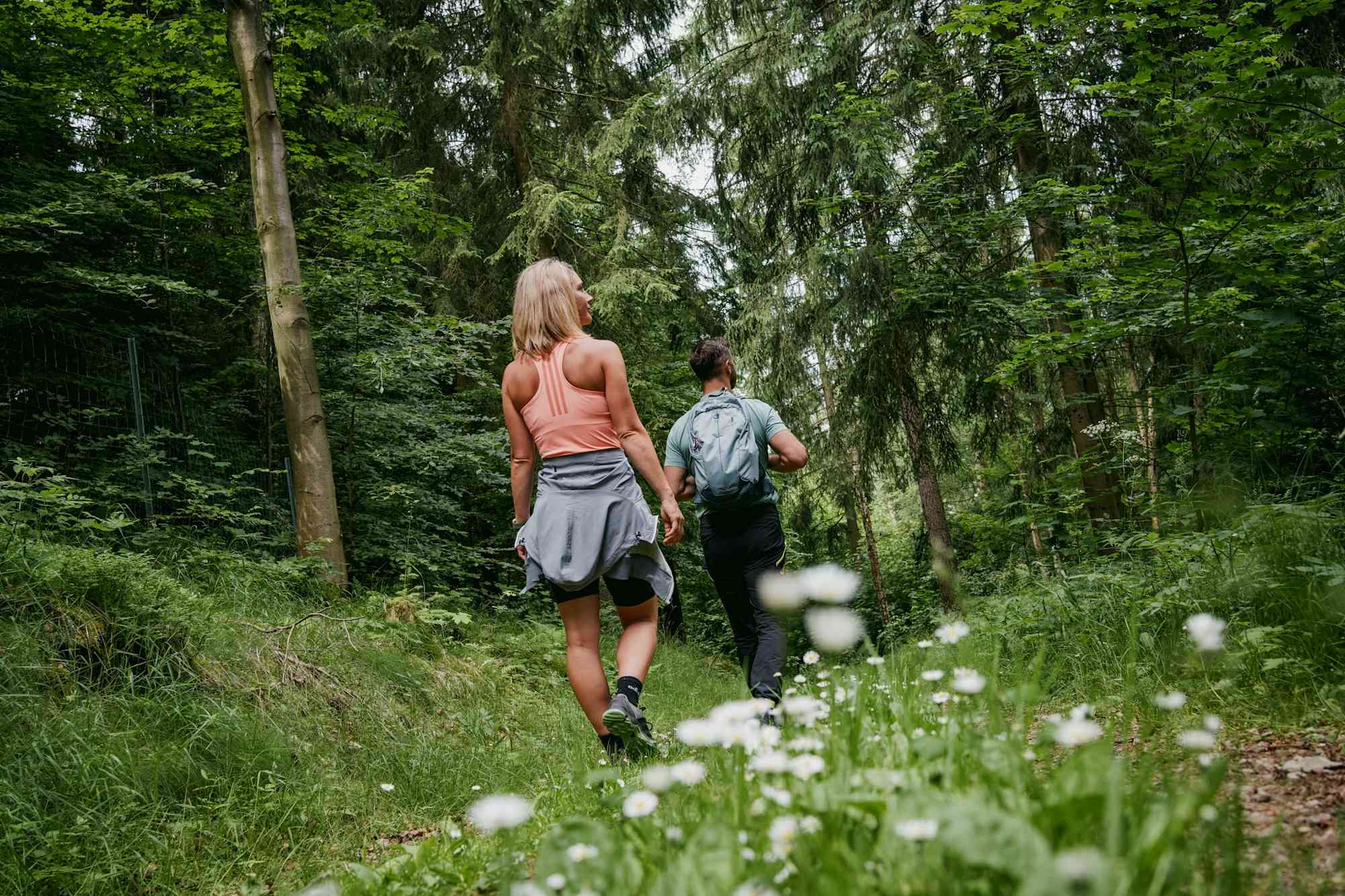 Waldweg zwischen Seiffen und Olbernhau