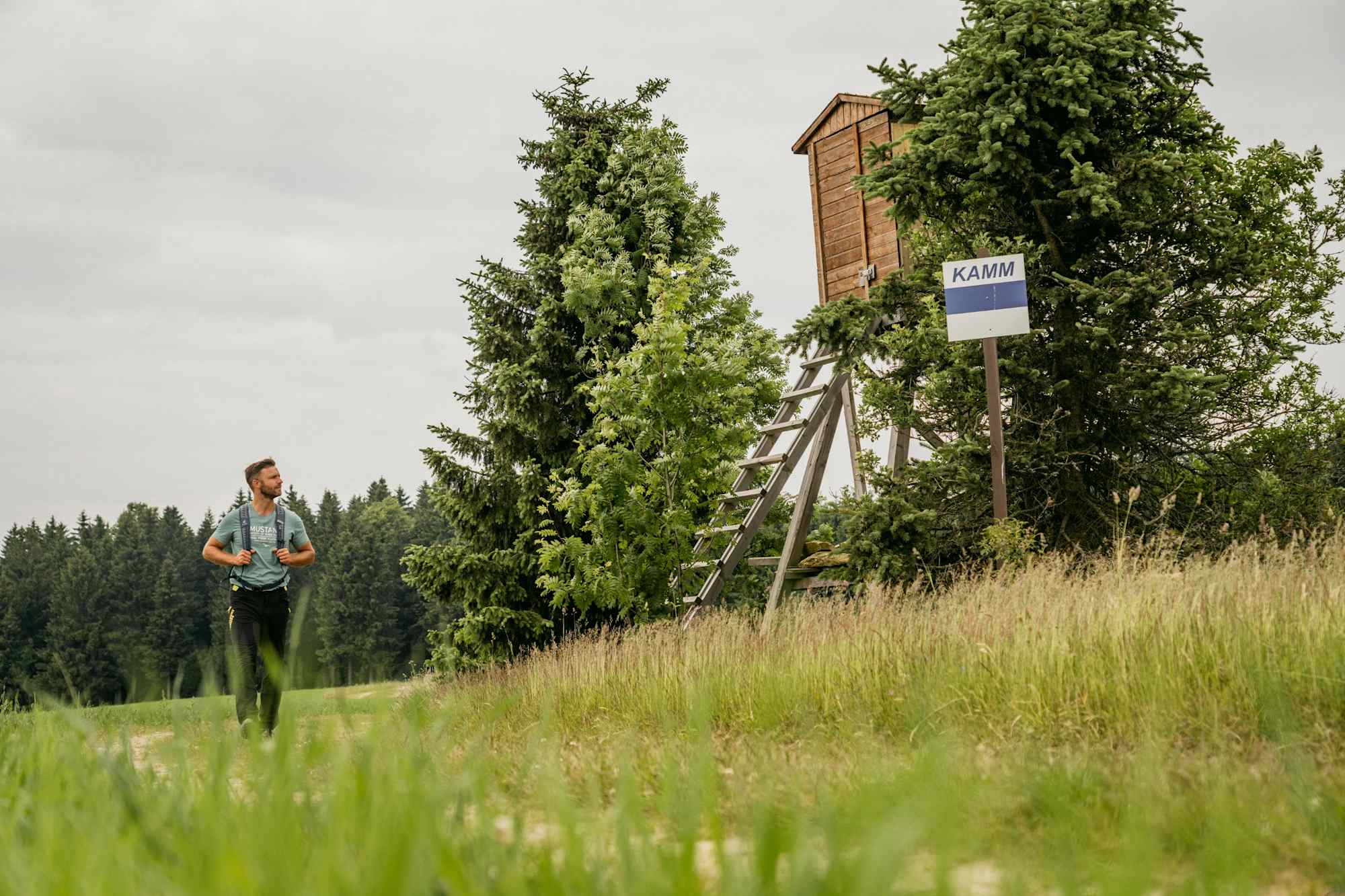 Am Hirschberg in Rübenau