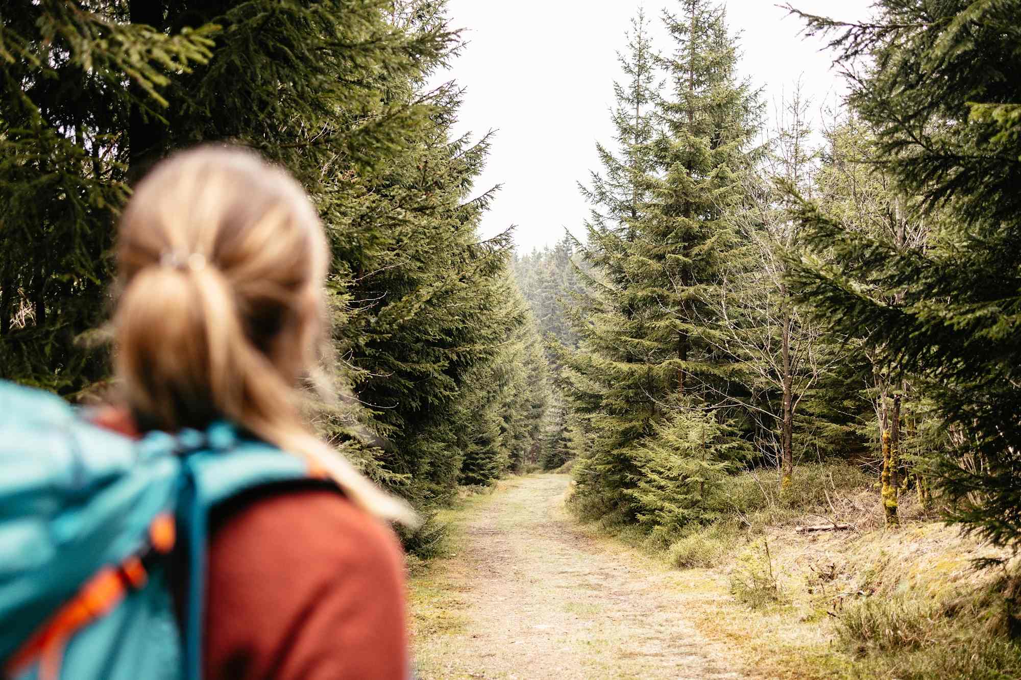 Unterwegs im Nadelwald