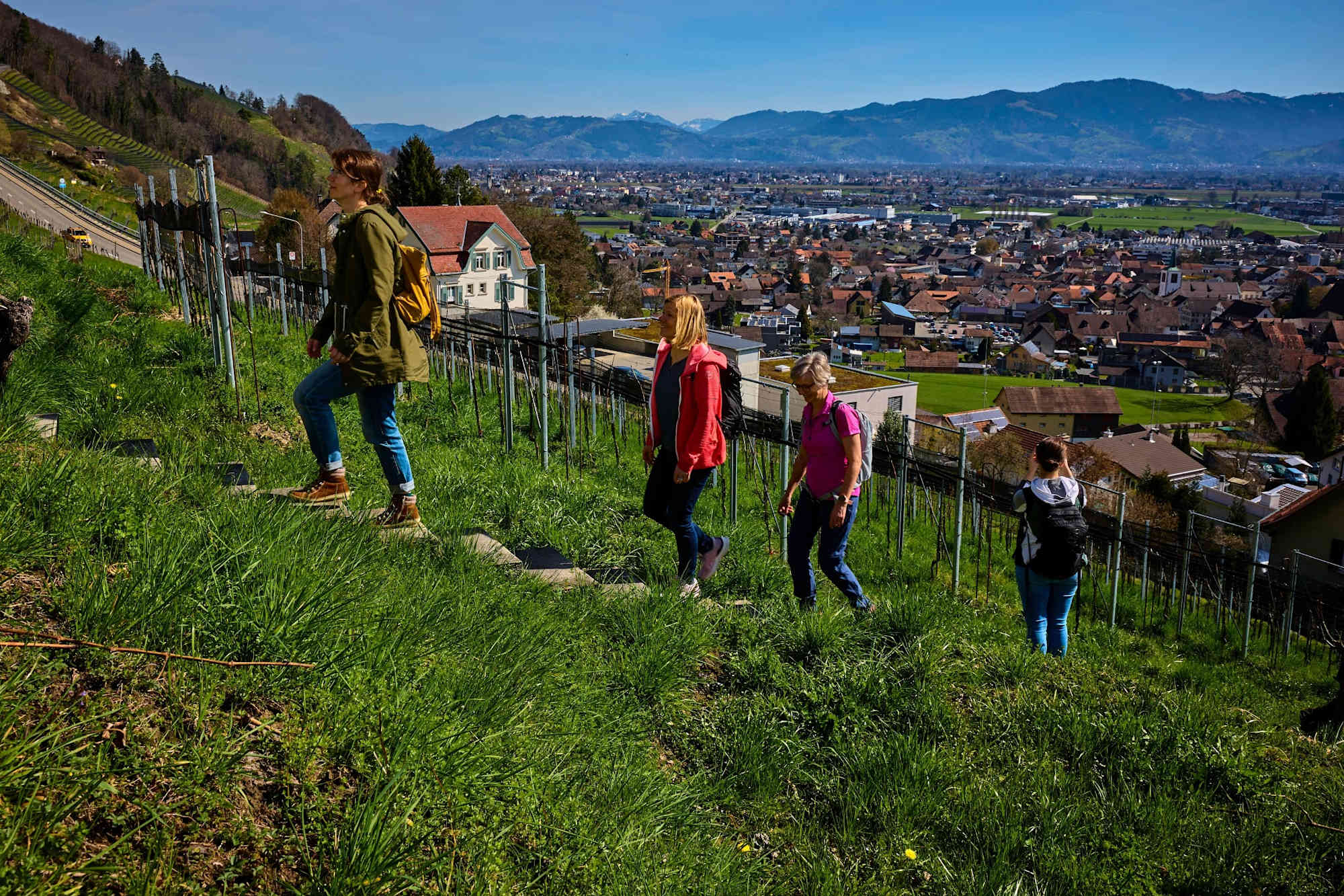 Kulinarische Wanderung im Rheintal am Rebberg