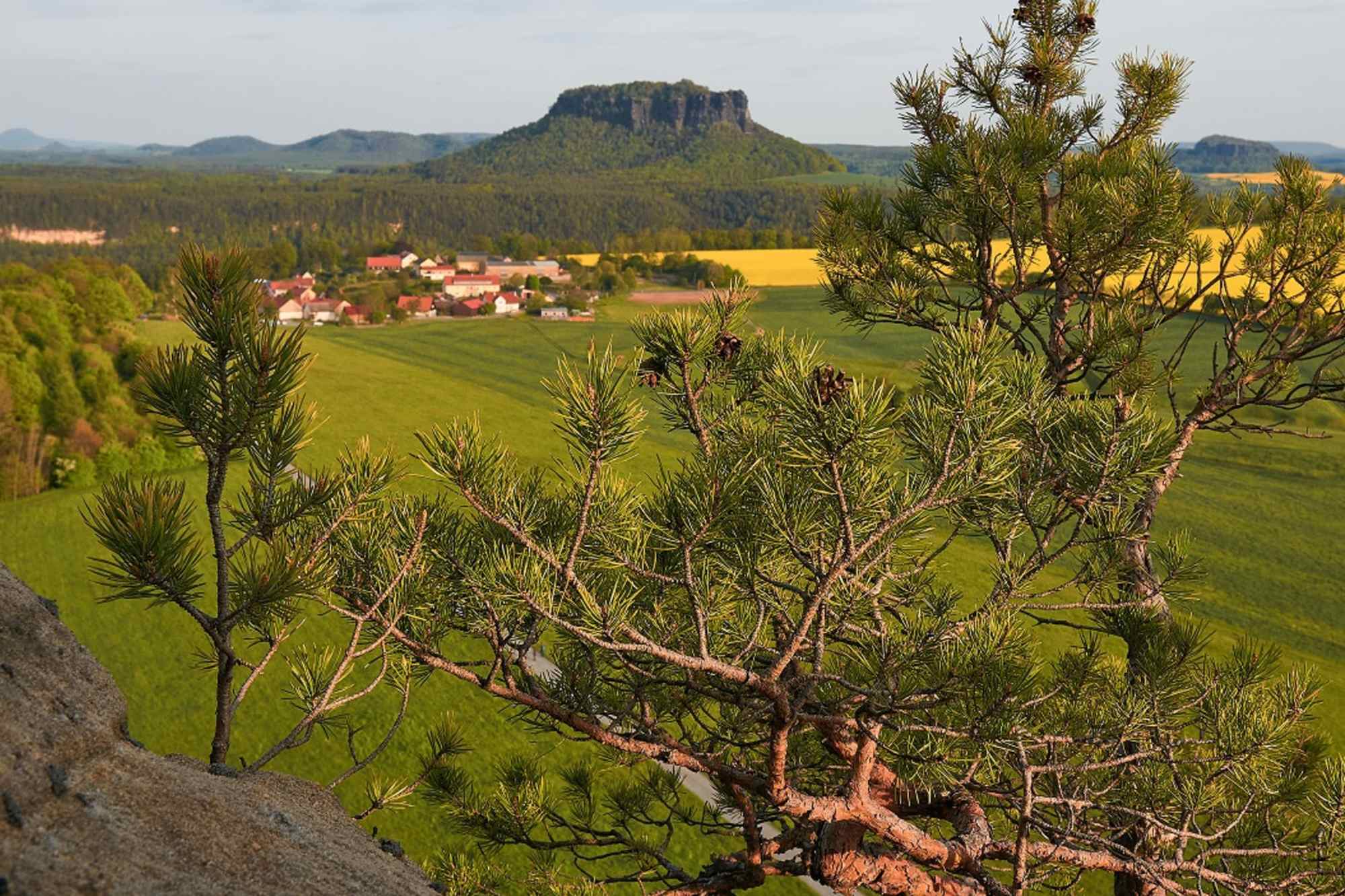 Aussicht vom Rauenstein an der Bergbaude