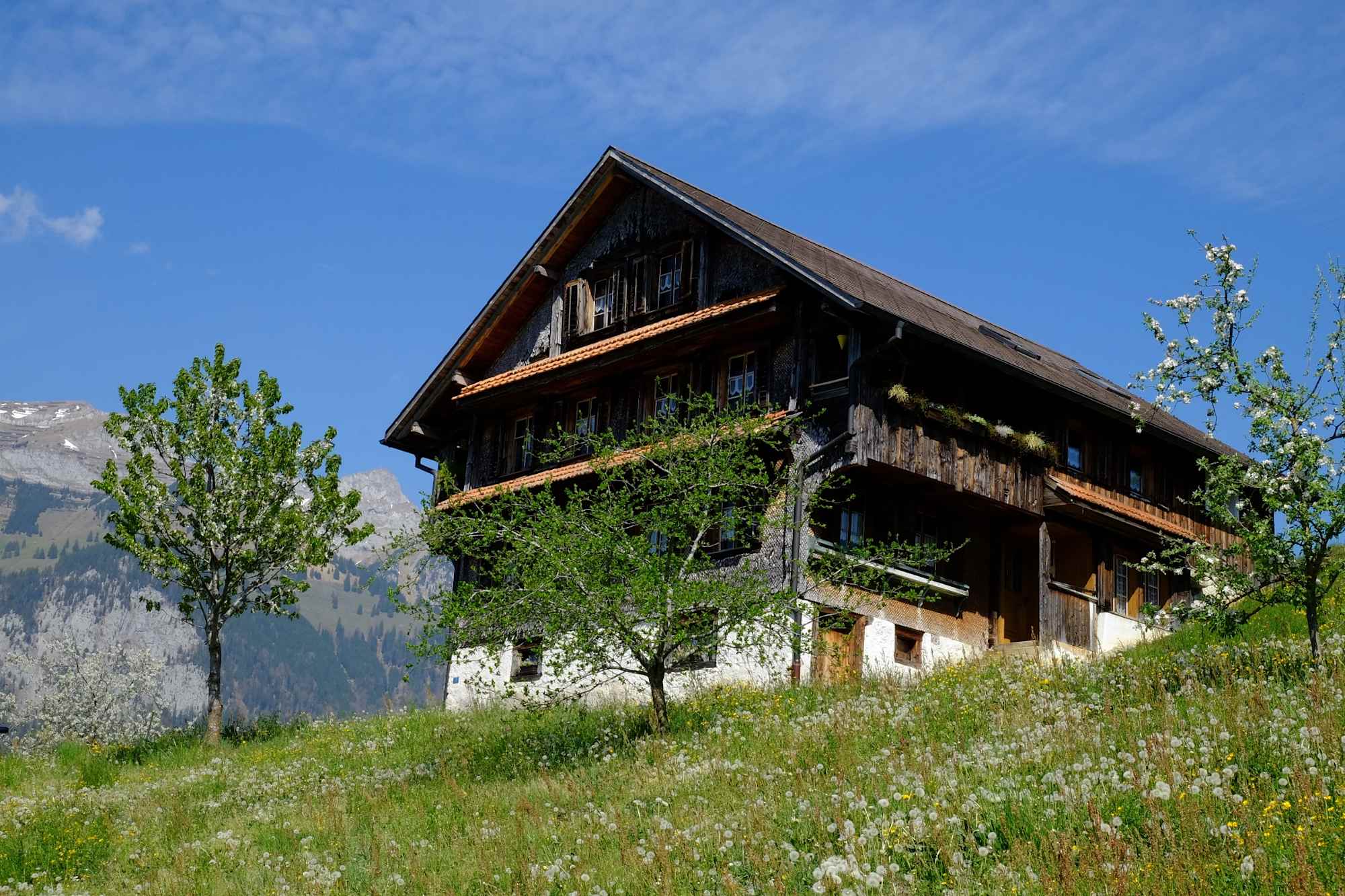 Rütli, Mueterschwandenberg; hinten der Pilatus
