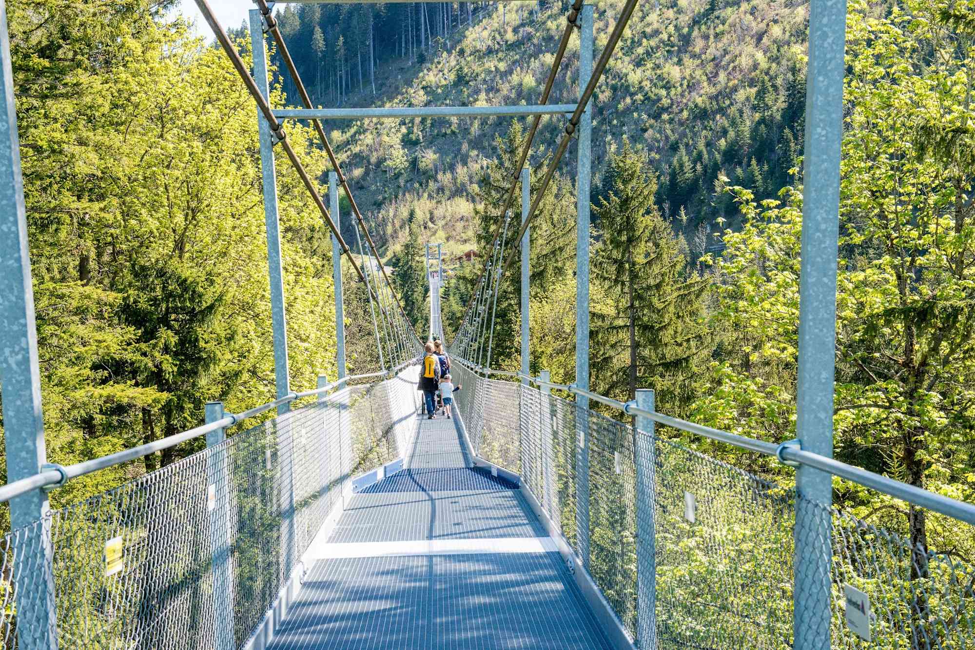 Fussgängerhängebrücke auf dem Sattel-Hochstuckli
