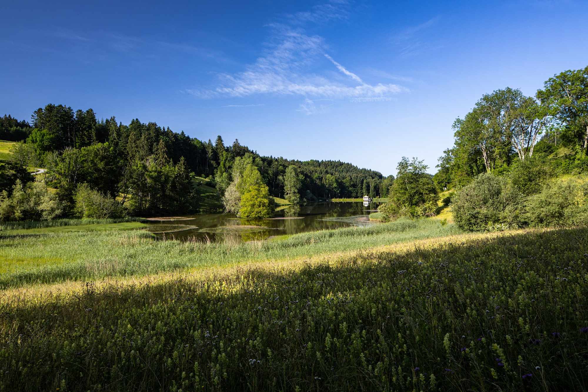 Wenigerweiher