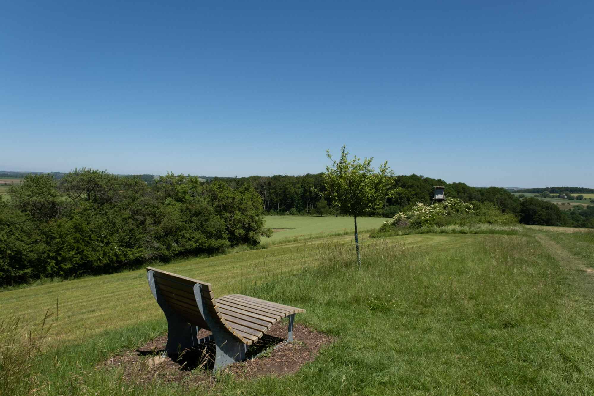 Am Paradiesgartenweg