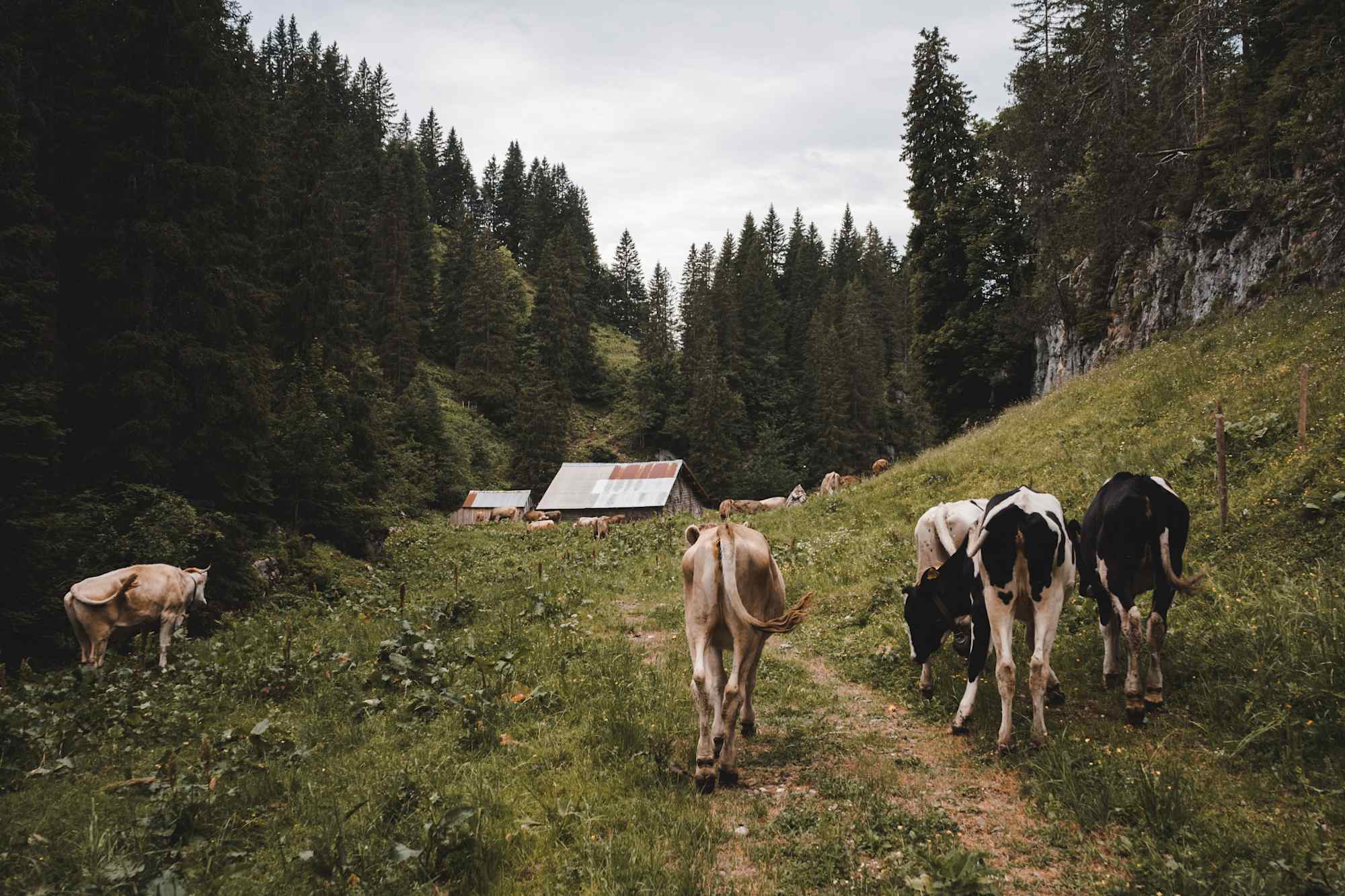 Auf der Wanderung